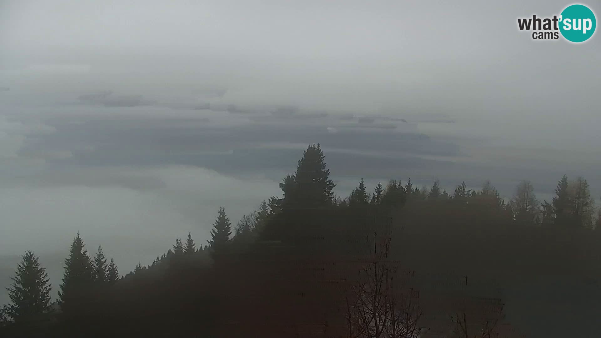 Kapunar Webcam – Radlje ob Dravi