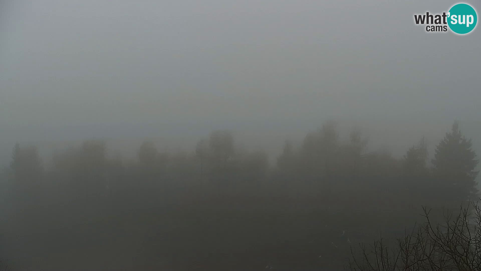 Live cam Kapunar – Radlje ob Dravi