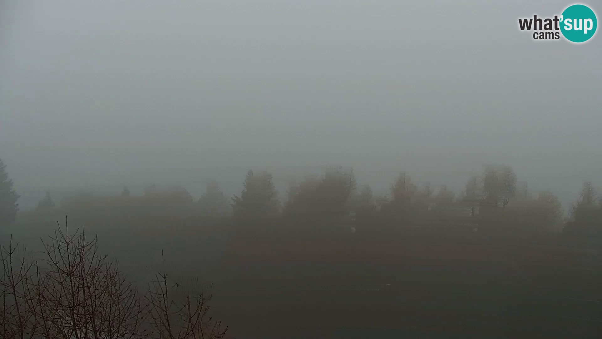 Kapunar Web kamera – Radlje ob Dravi