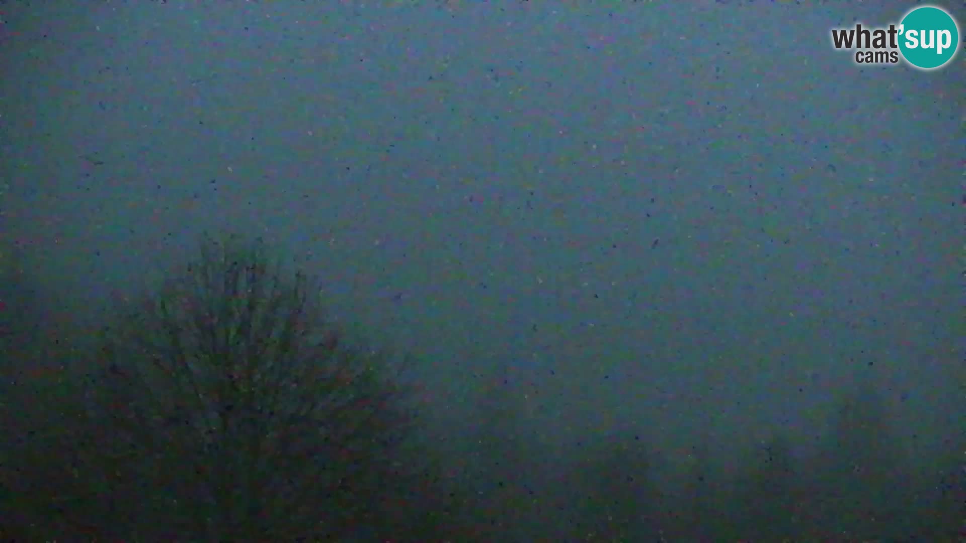 Webcam Kapunar – Radlje ob Dravi