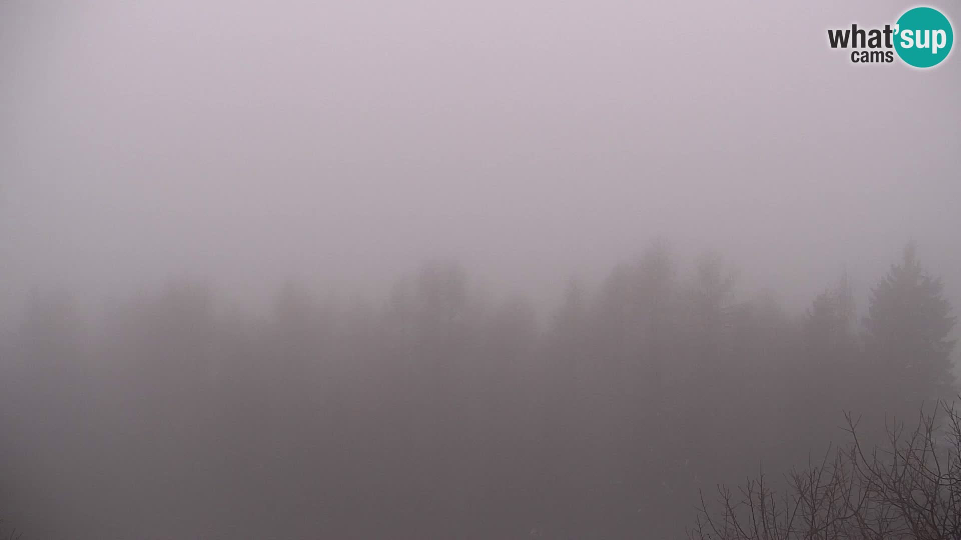 Webcam Kapunar – Radlje ob Dravi