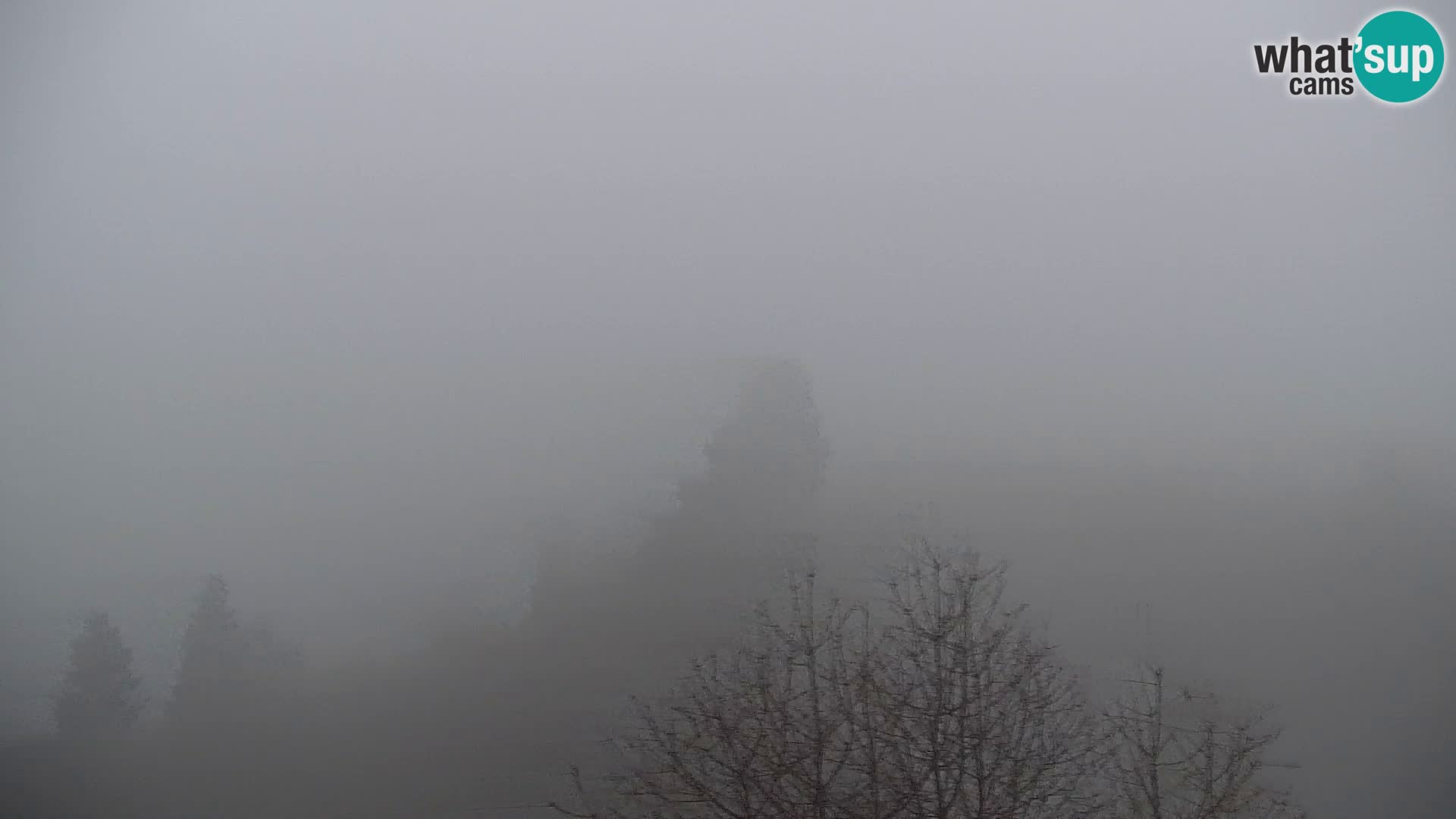 Live cam Kapunar – Radlje ob Dravi