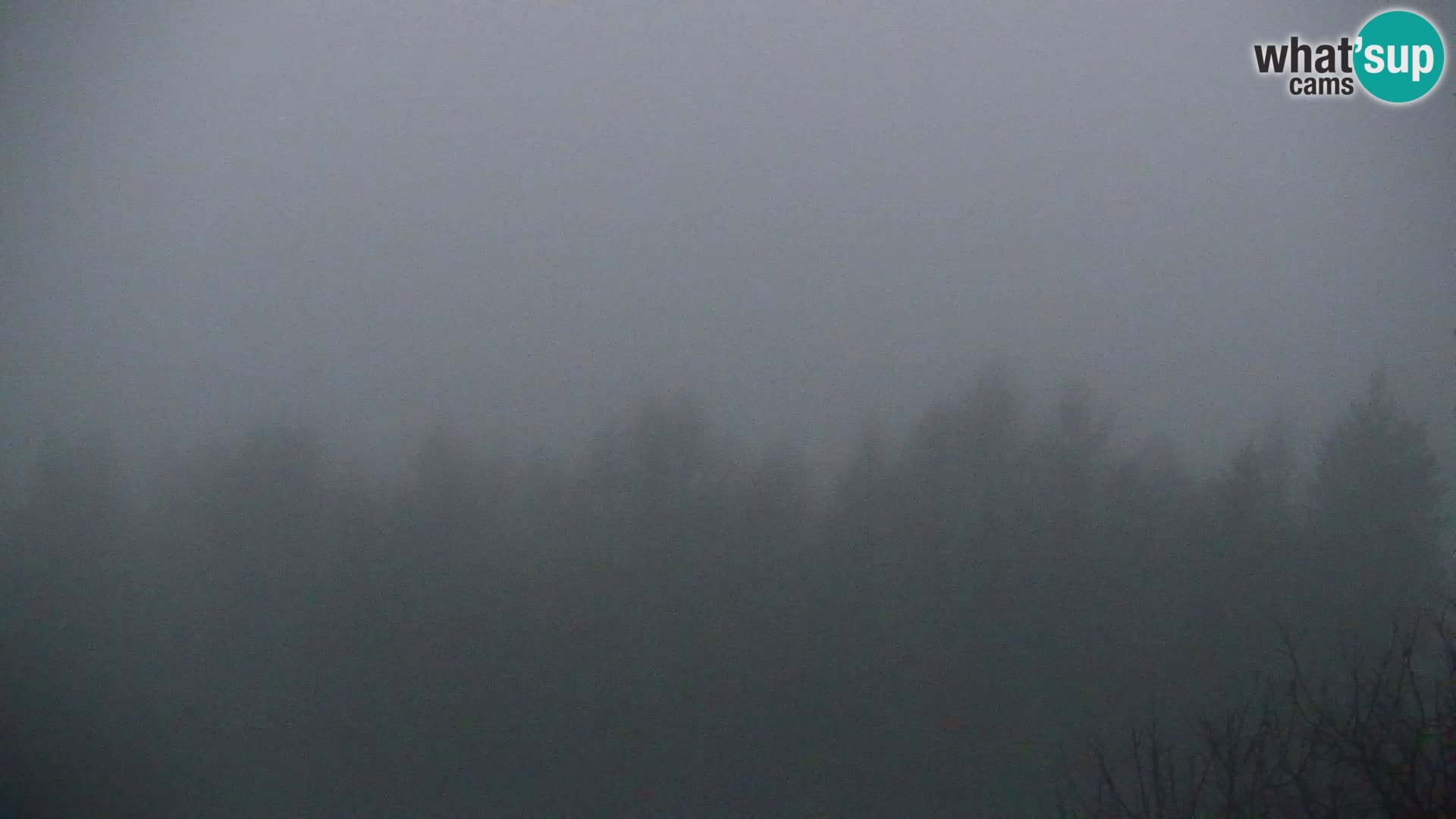 Webcam Kapunar – Radlje ob Dravi