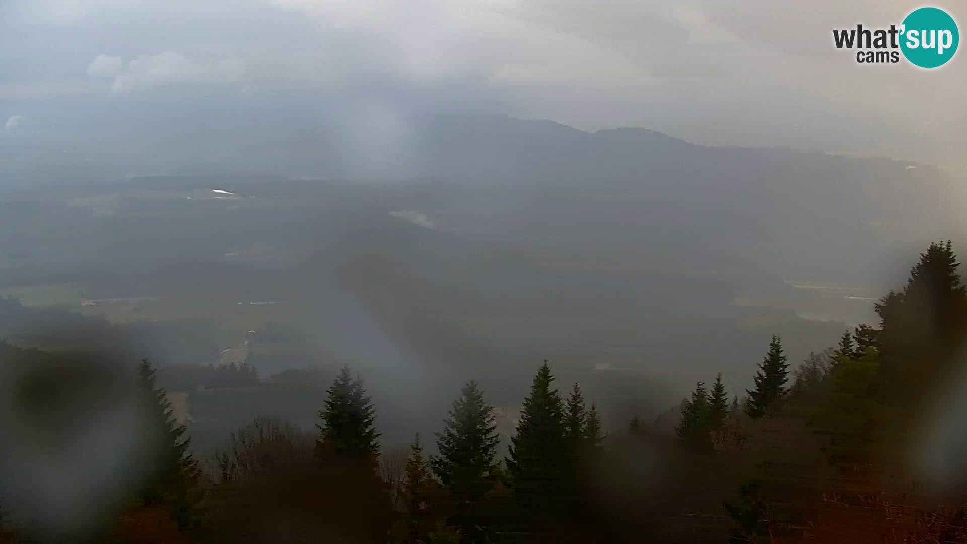 Kapunar Web kamera – Radlje ob Dravi