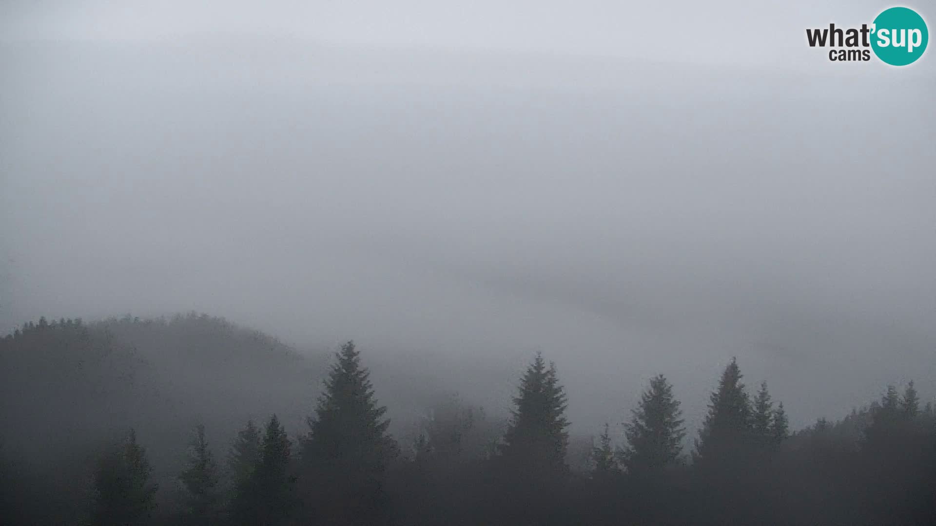 Kapunar Webcam – Radlje ob Dravi