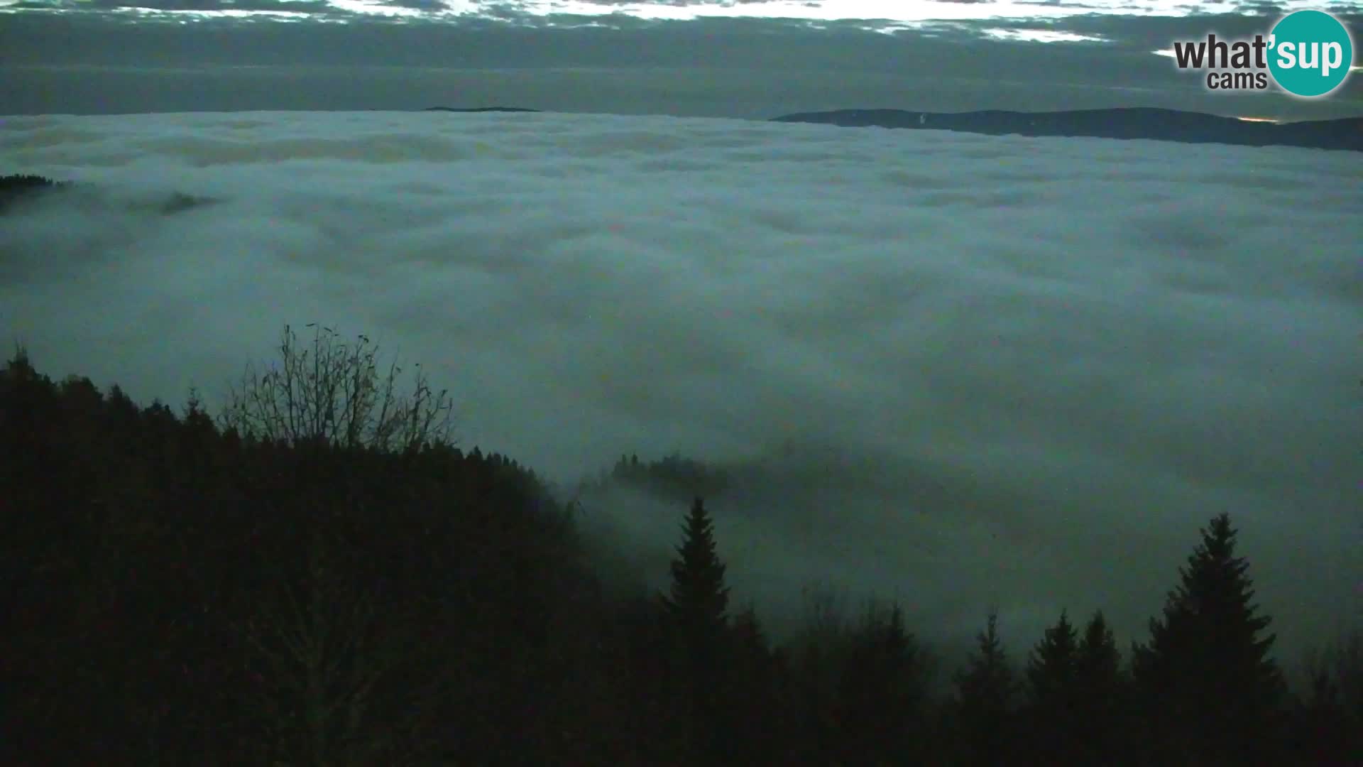 Live cam Kapunar – Radlje ob Dravi