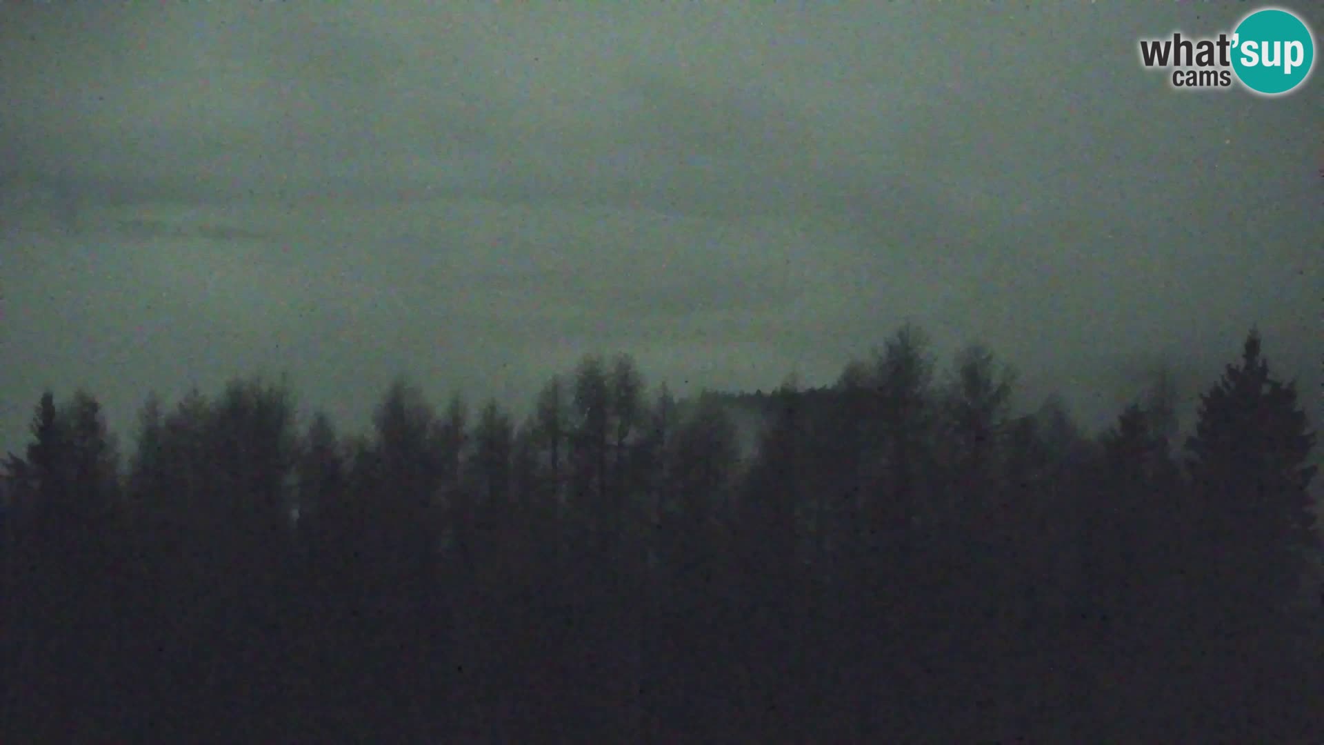 Spletna kamera Kapunar – Radlje ob Dravi