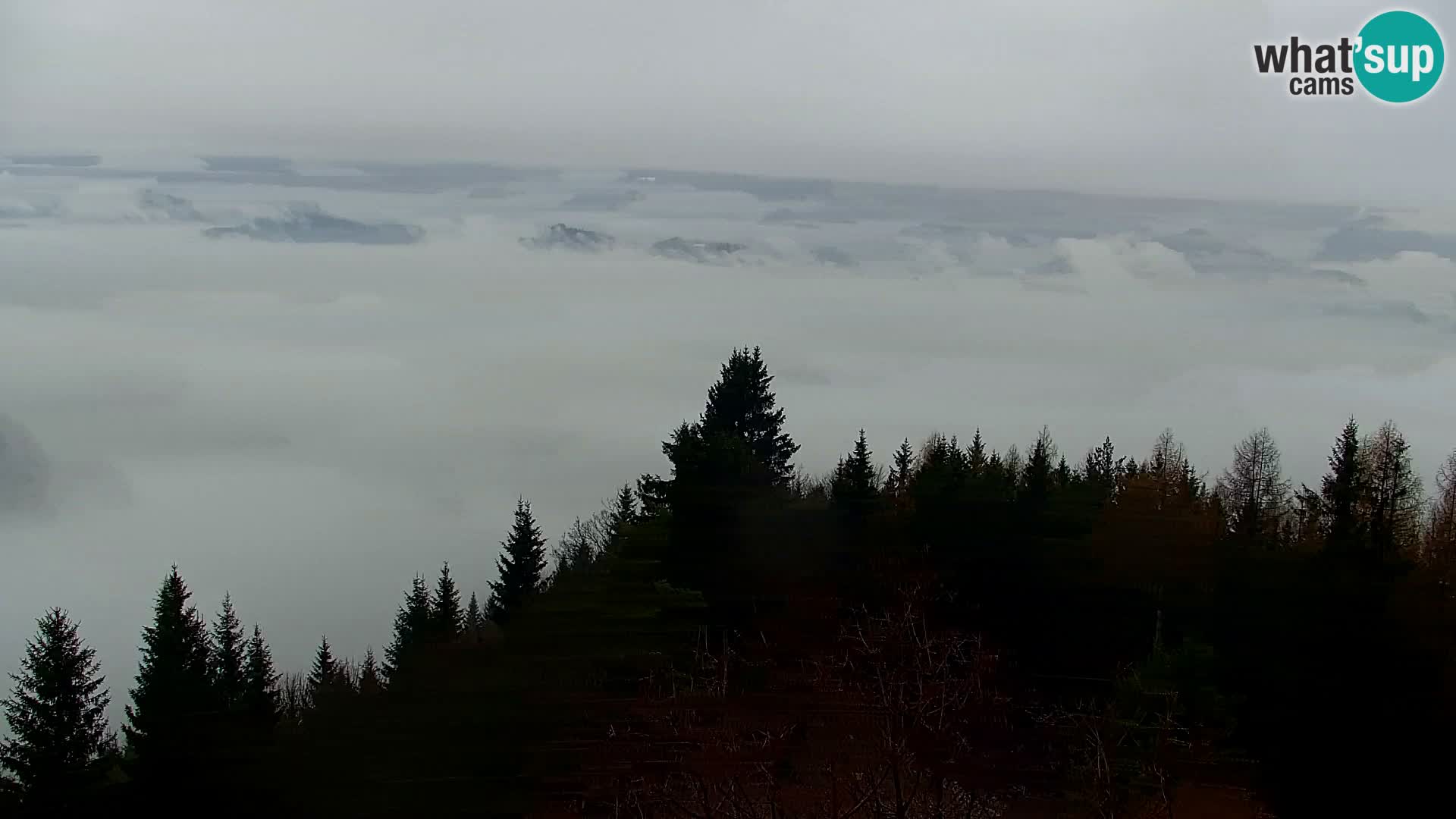 Live cam Kapunar – Radlje ob Dravi