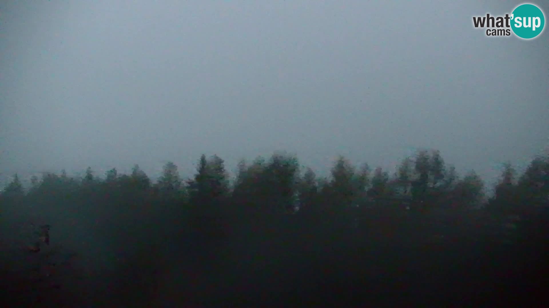 Live cam Kapunar – Radlje ob Dravi