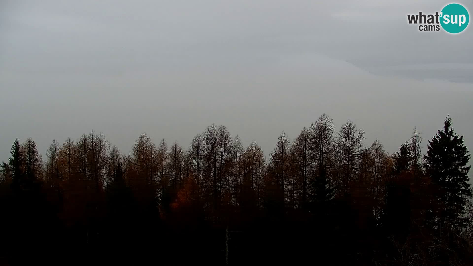 Webcam Kapunar – Radlje ob Dravi