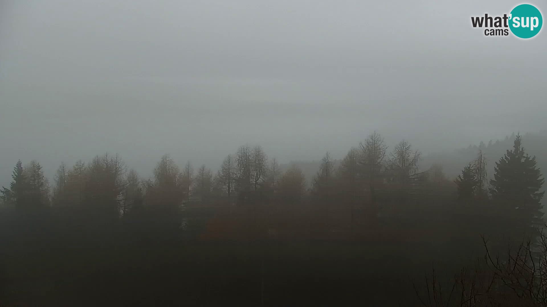 Kapunar Webcam – Radlje ob Dravi