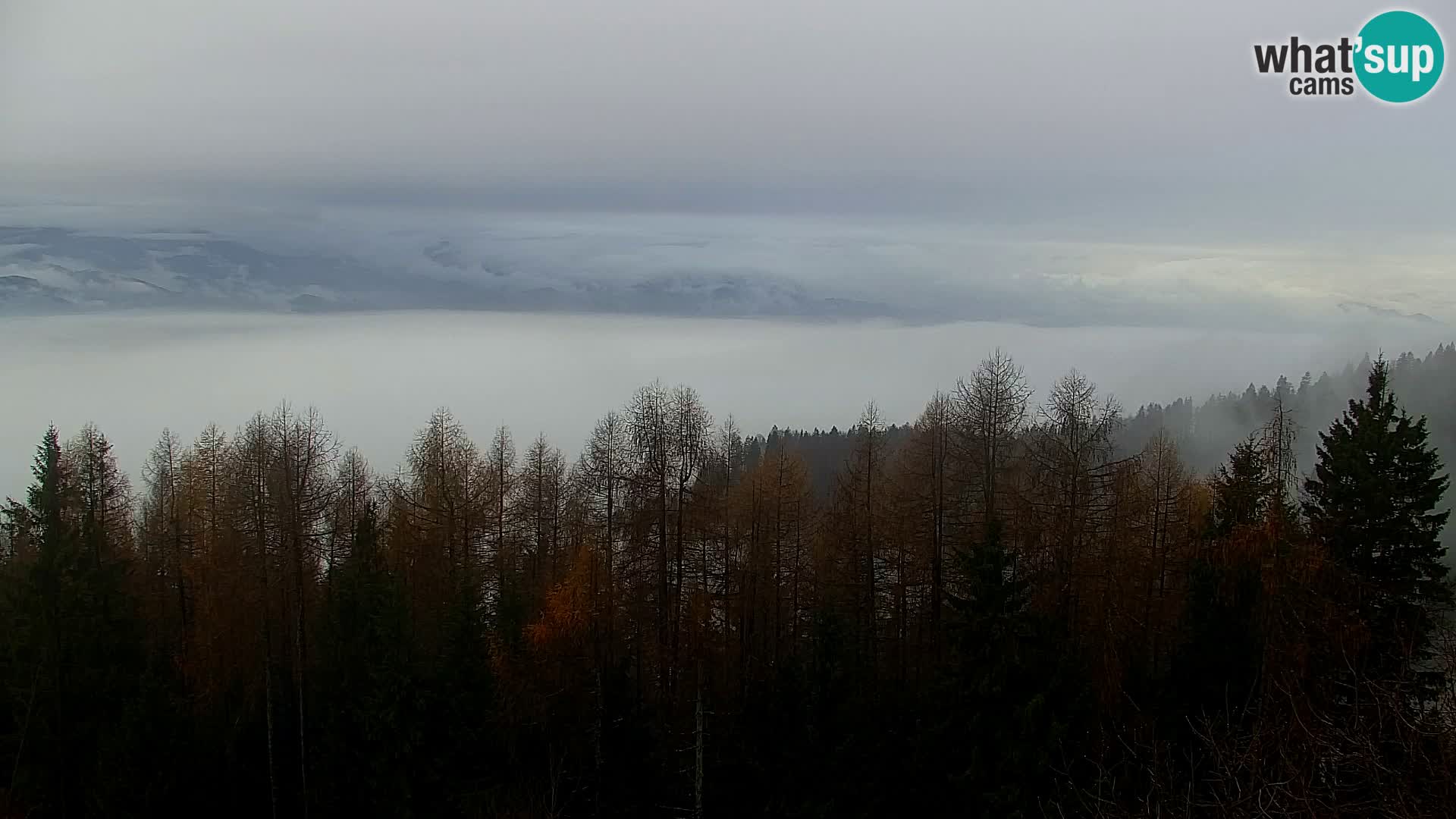 Live cam Kapunar – Radlje ob Dravi