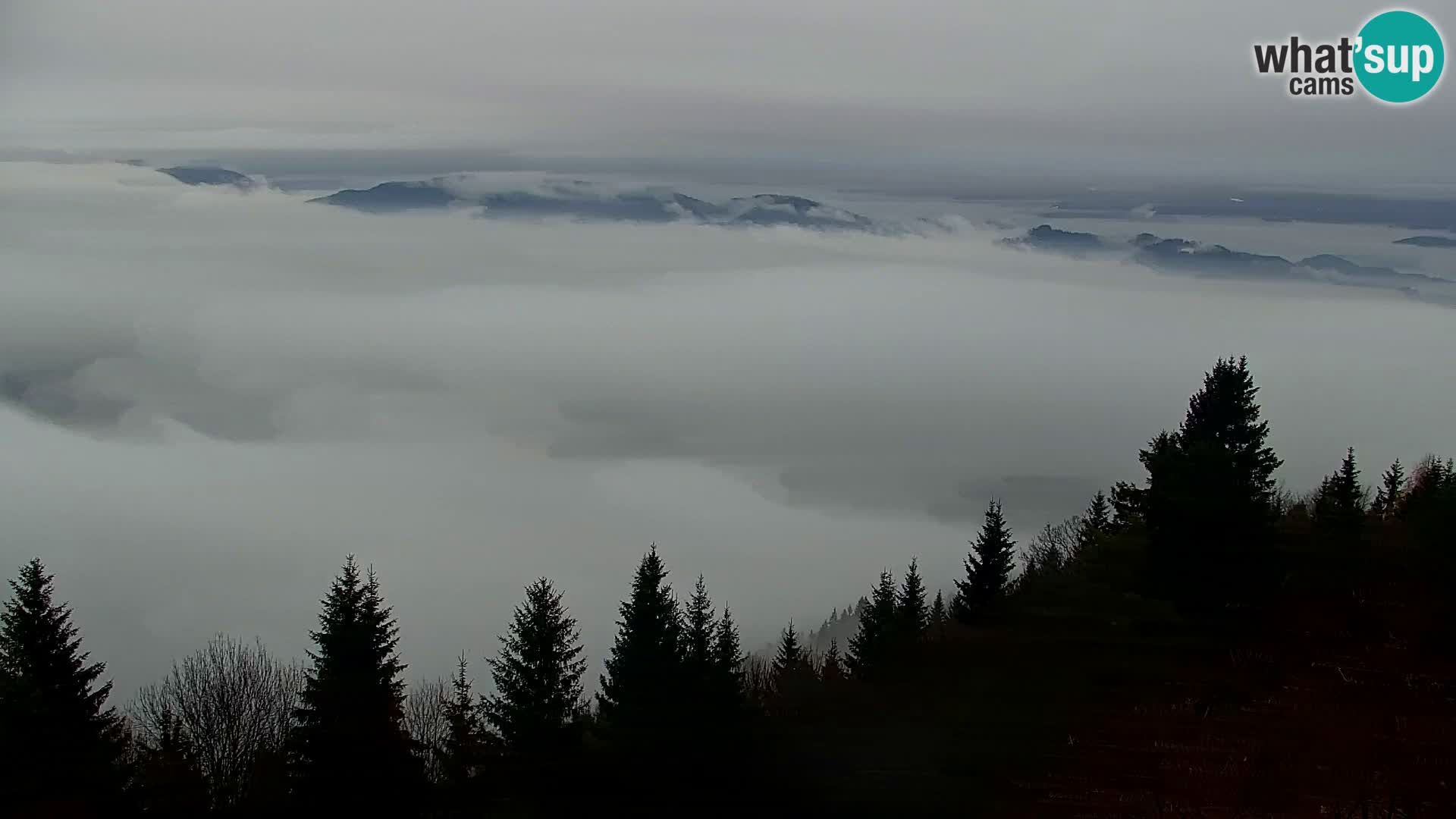 Webcam Kapunar – Radlje ob Dravi