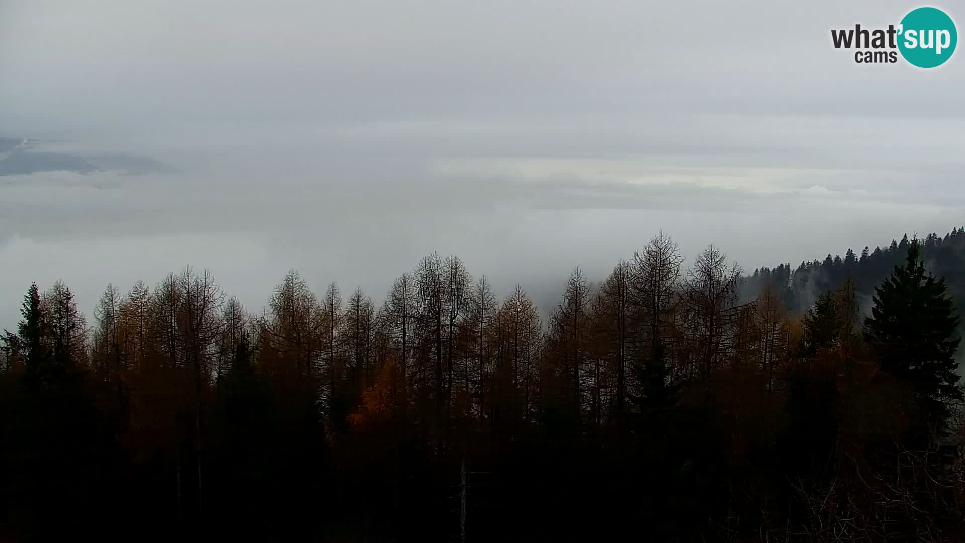 Live cam Kapunar – Radlje ob Dravi