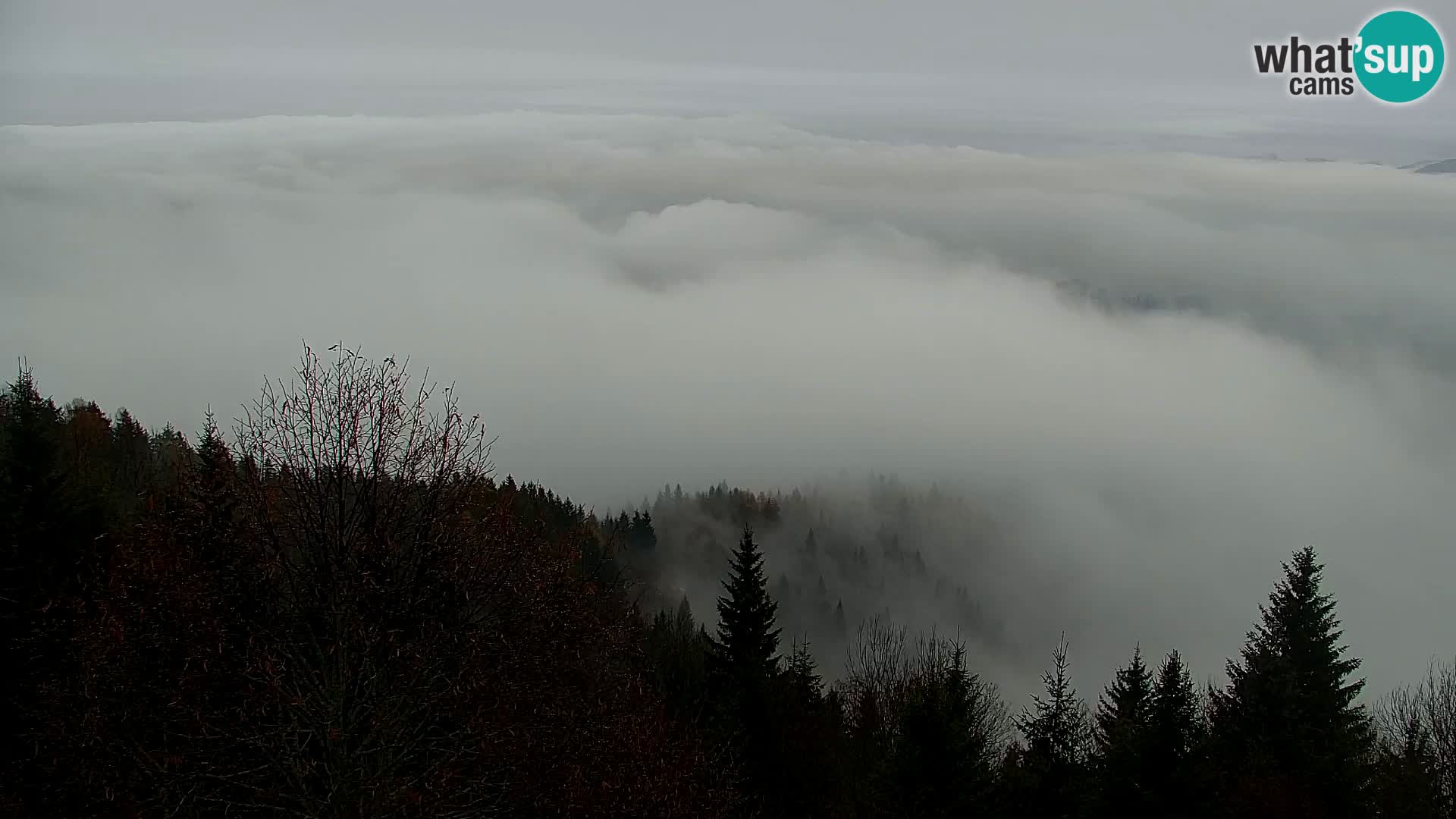 Webcam Kapunar – Radlje ob Dravi