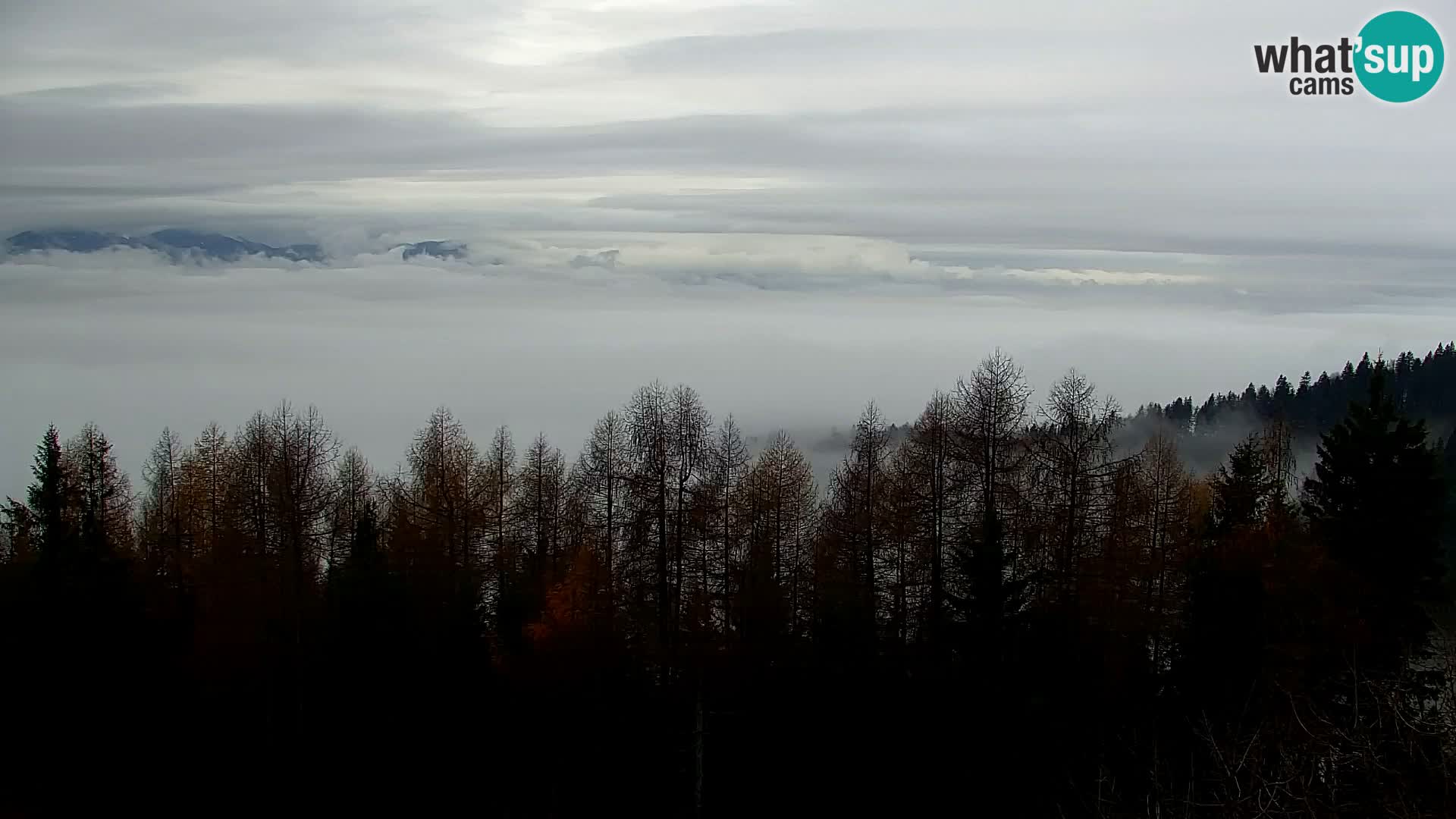 Kapunar Webcam – Radlje ob Dravi