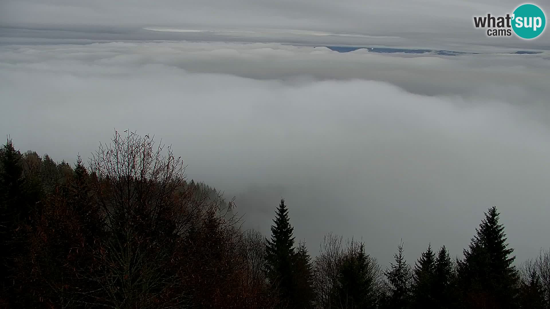 Live cam Kapunar – Radlje ob Dravi