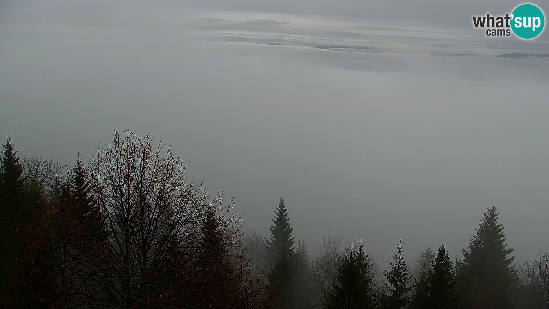 Webcam Kapunar – Radlje ob Dravi