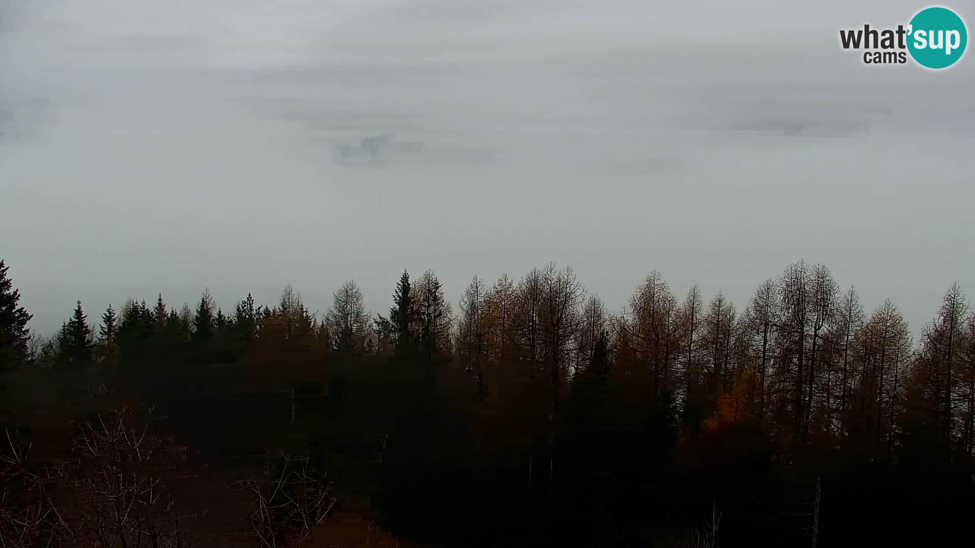 Webcam Kapunar – Radlje ob Dravi