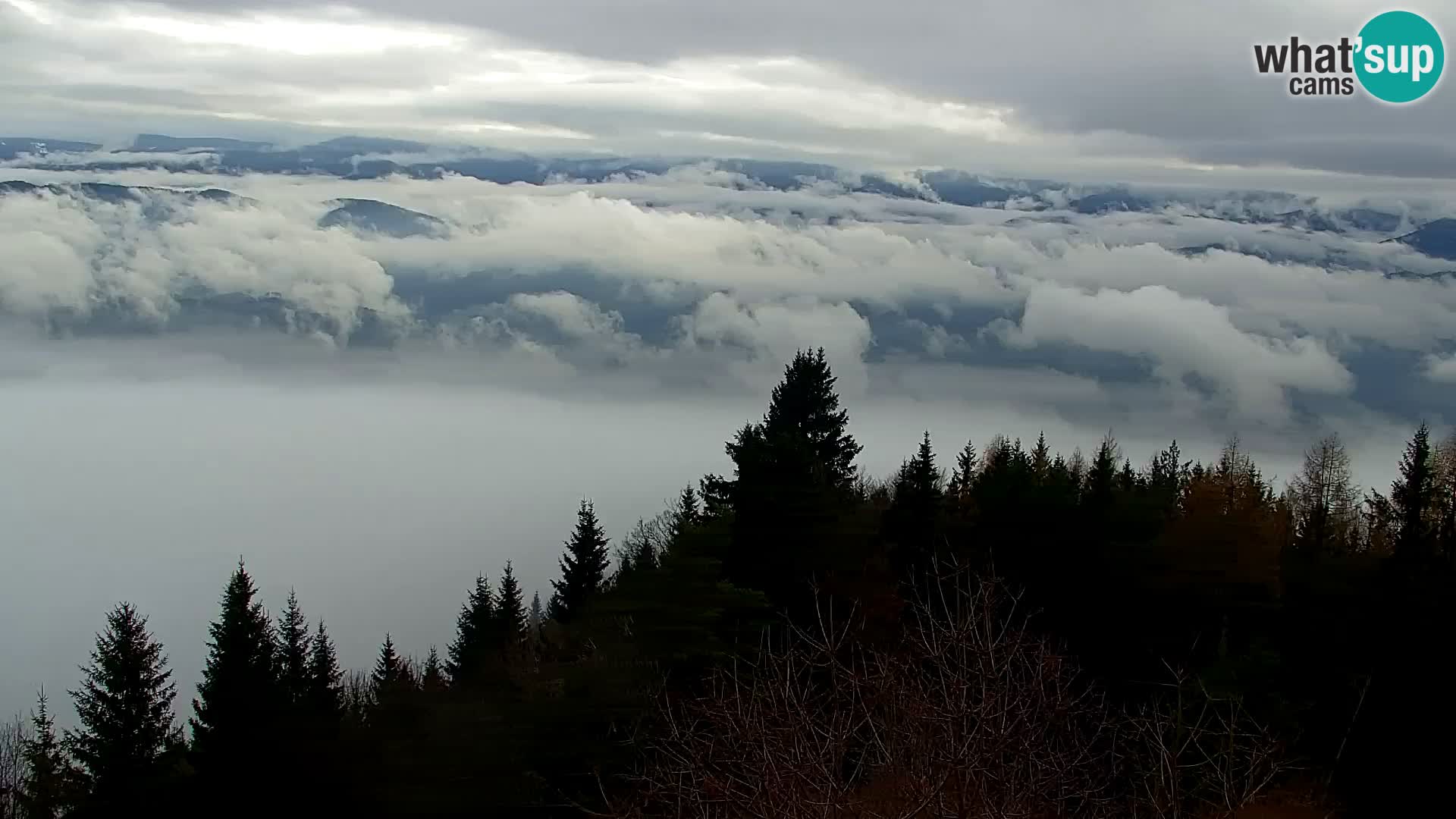 Webcam Kapunar – Radlje ob Dravi