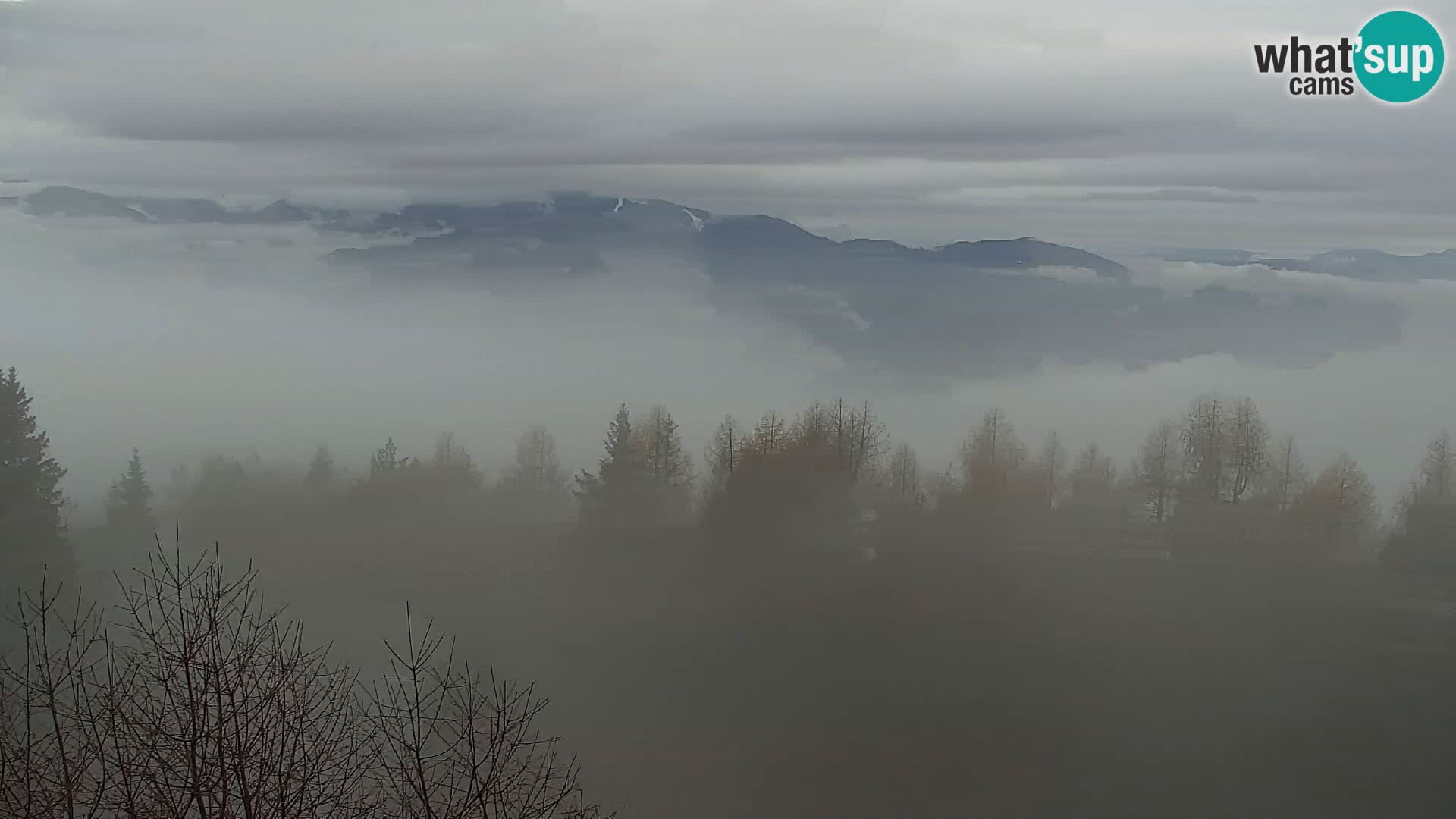 Webcam Kapunar – Radlje ob Dravi