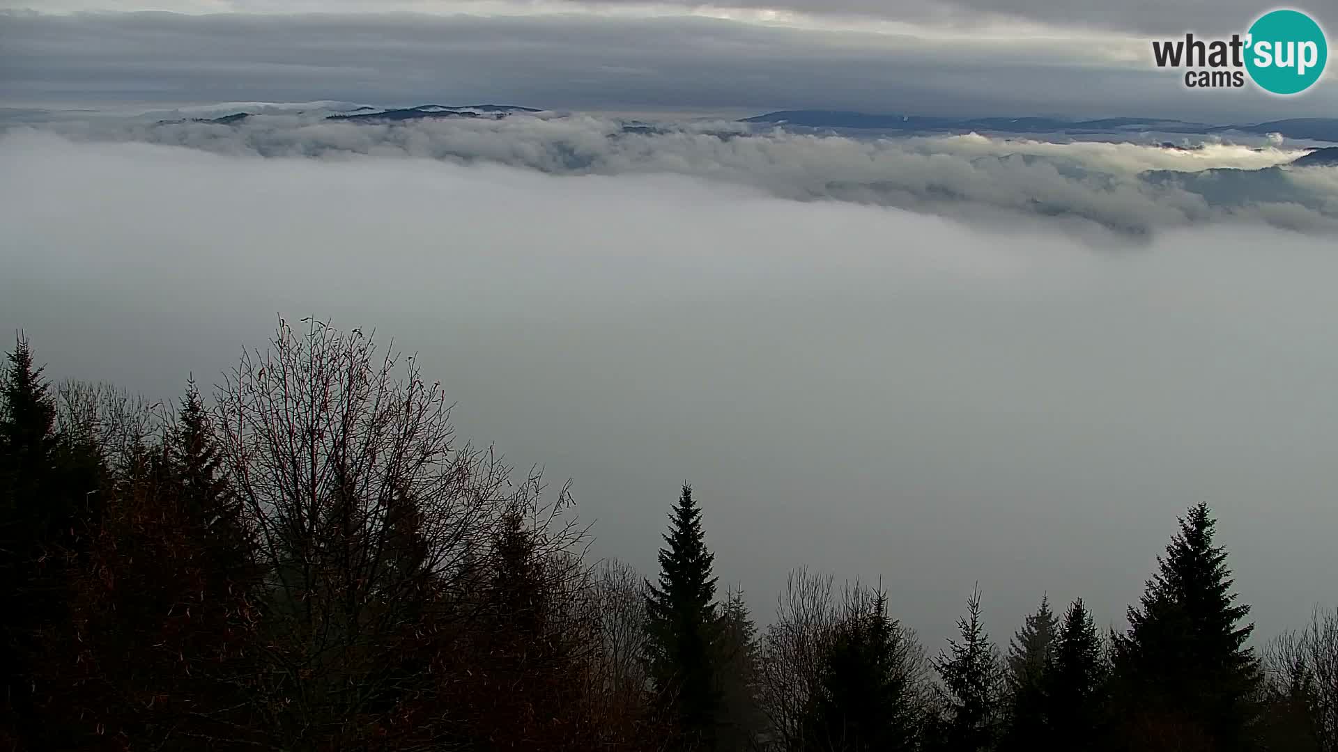 Webcam Kapunar – Radlje ob Dravi