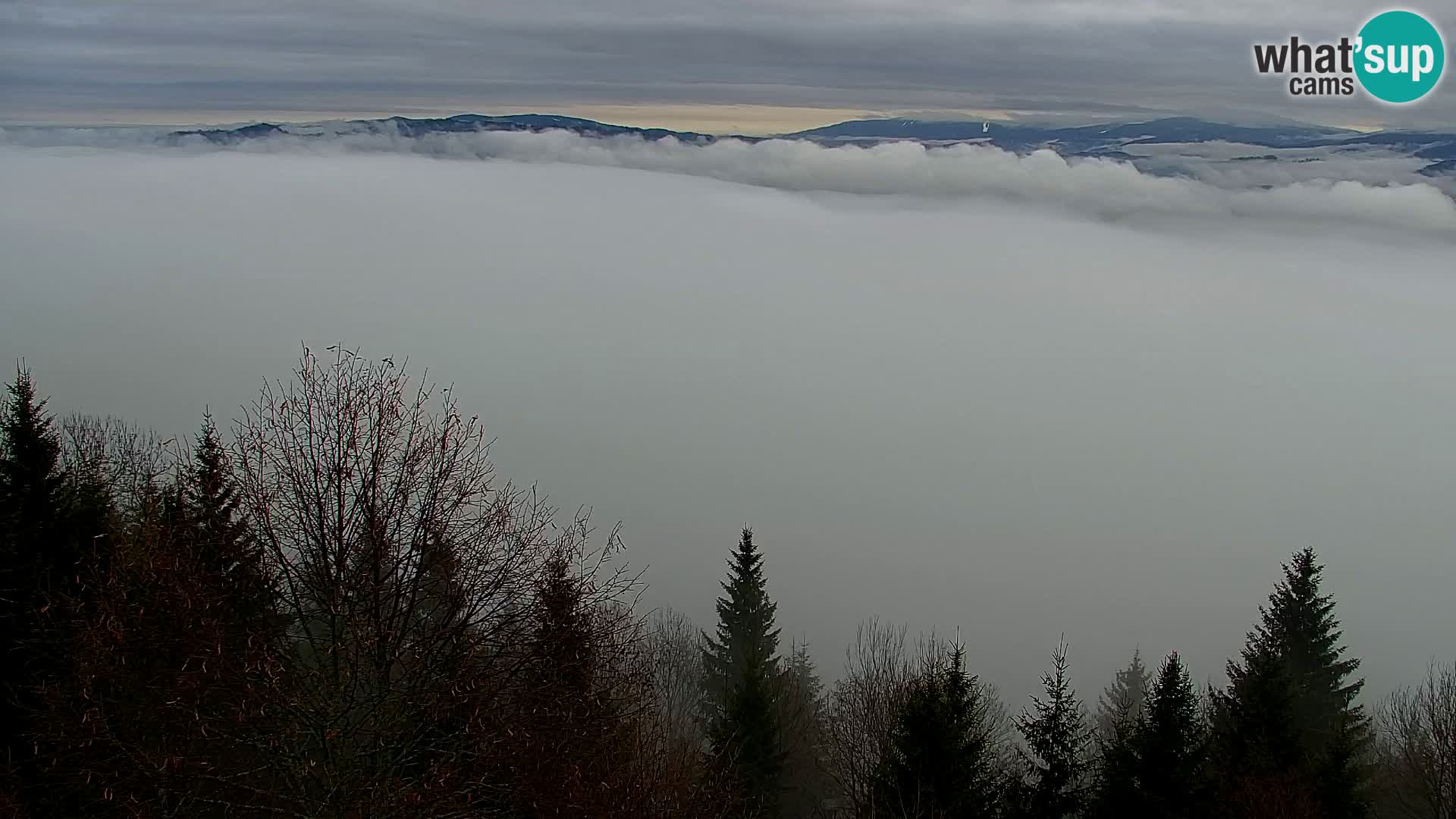 Kapunar Webcam – Radlje ob Dravi