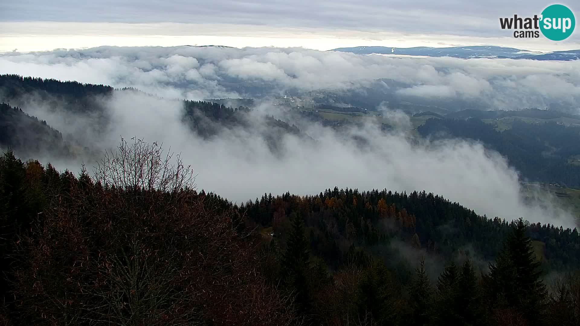 Webcam Kapunar – Radlje ob Dravi