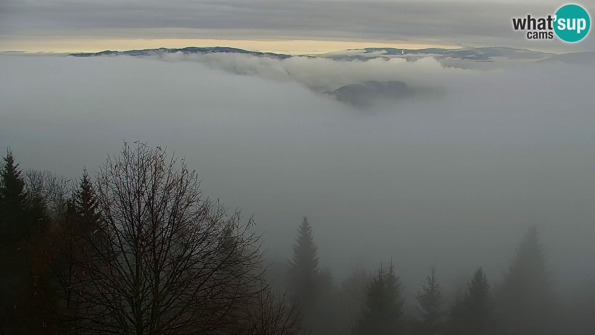 Kapunar Webcam – Radlje ob Dravi