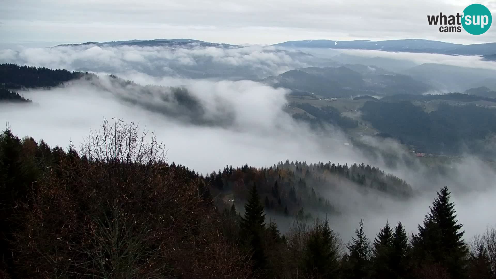 Kapunar Webcam – Radlje ob Dravi