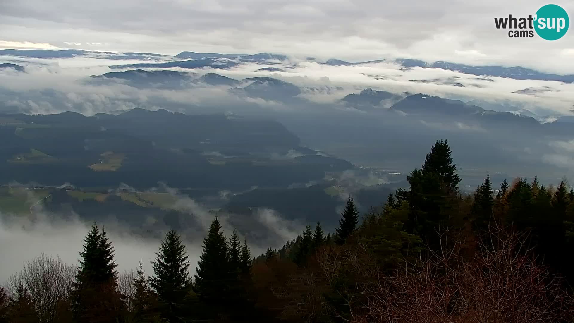 Webcam Kapunar – Radlje ob Dravi