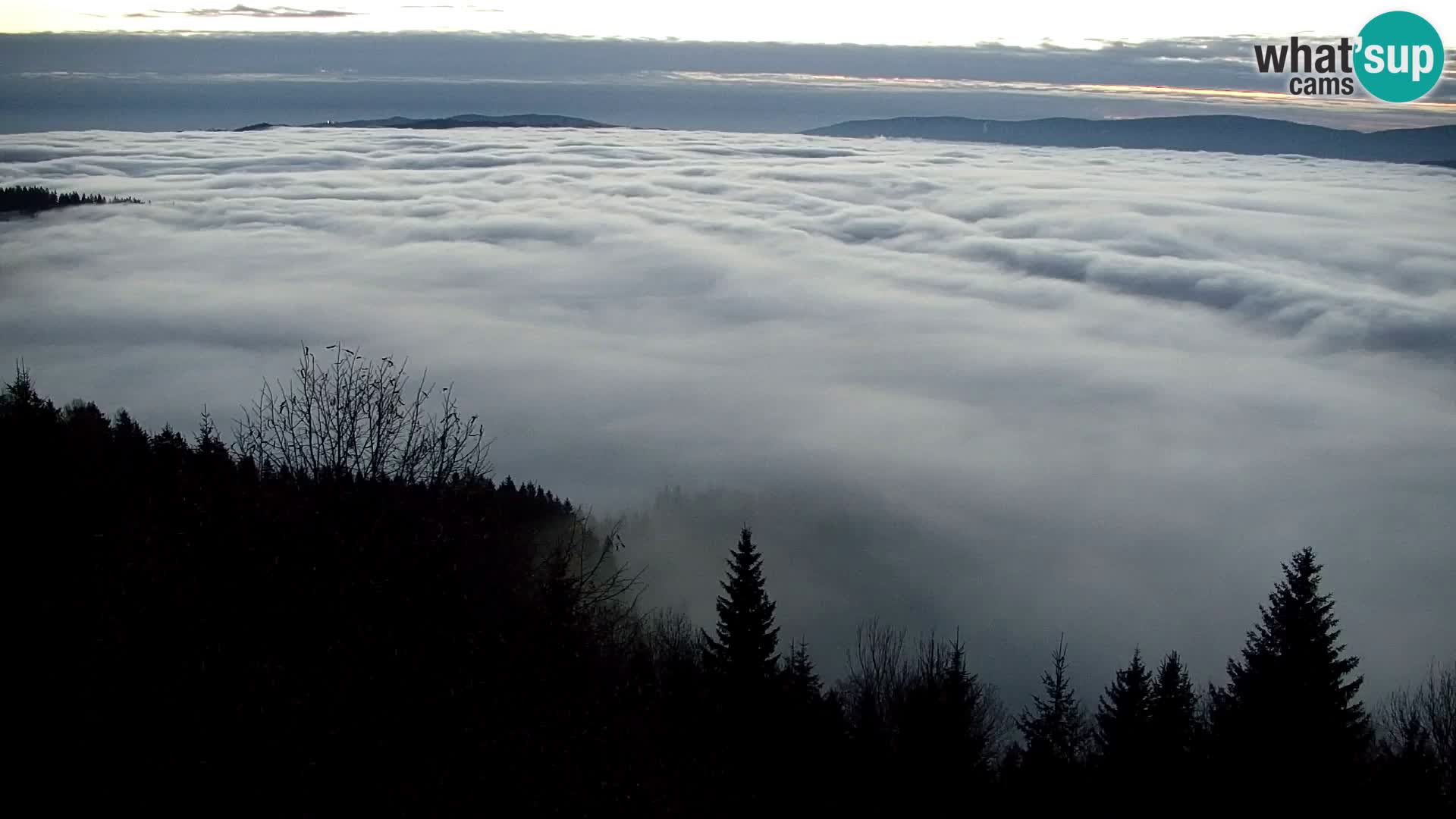 Live cam Kapunar – Radlje ob Dravi