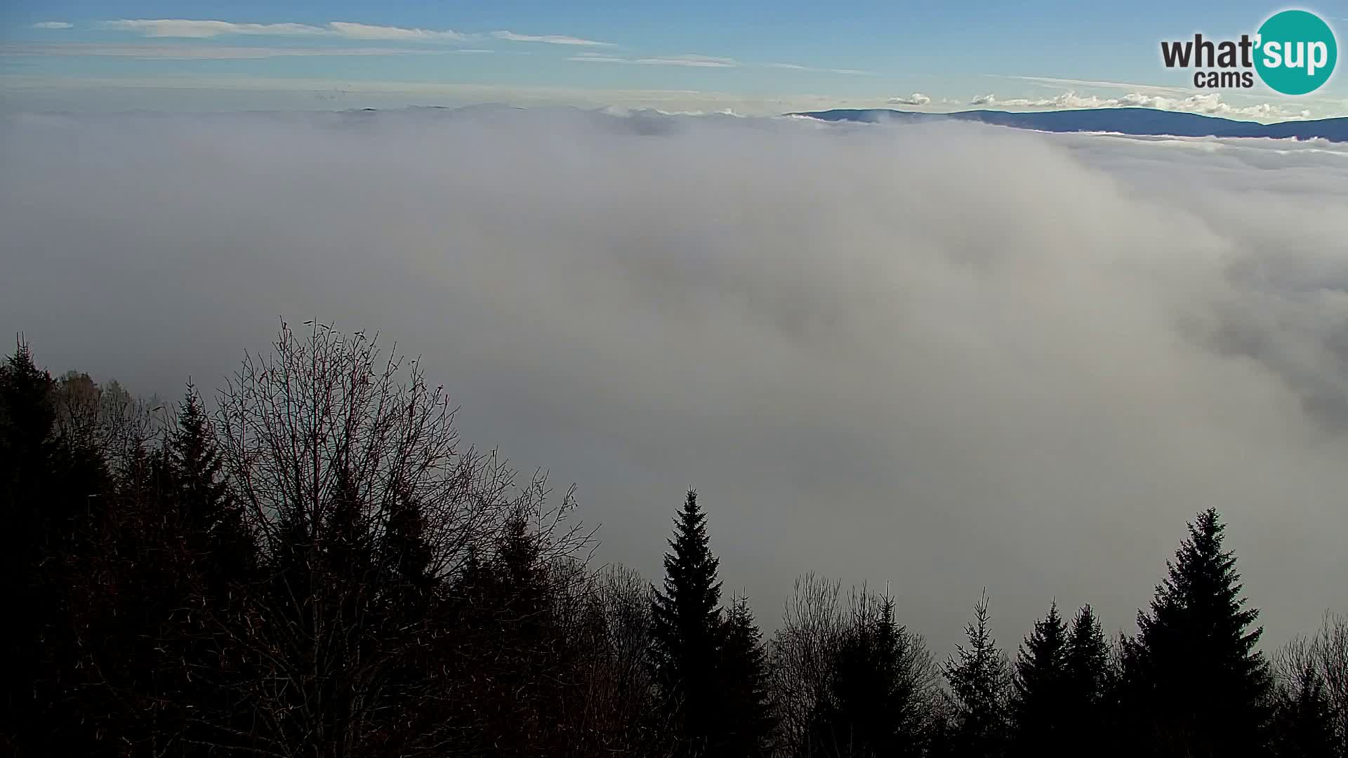 Live cam Kapunar – Radlje ob Dravi