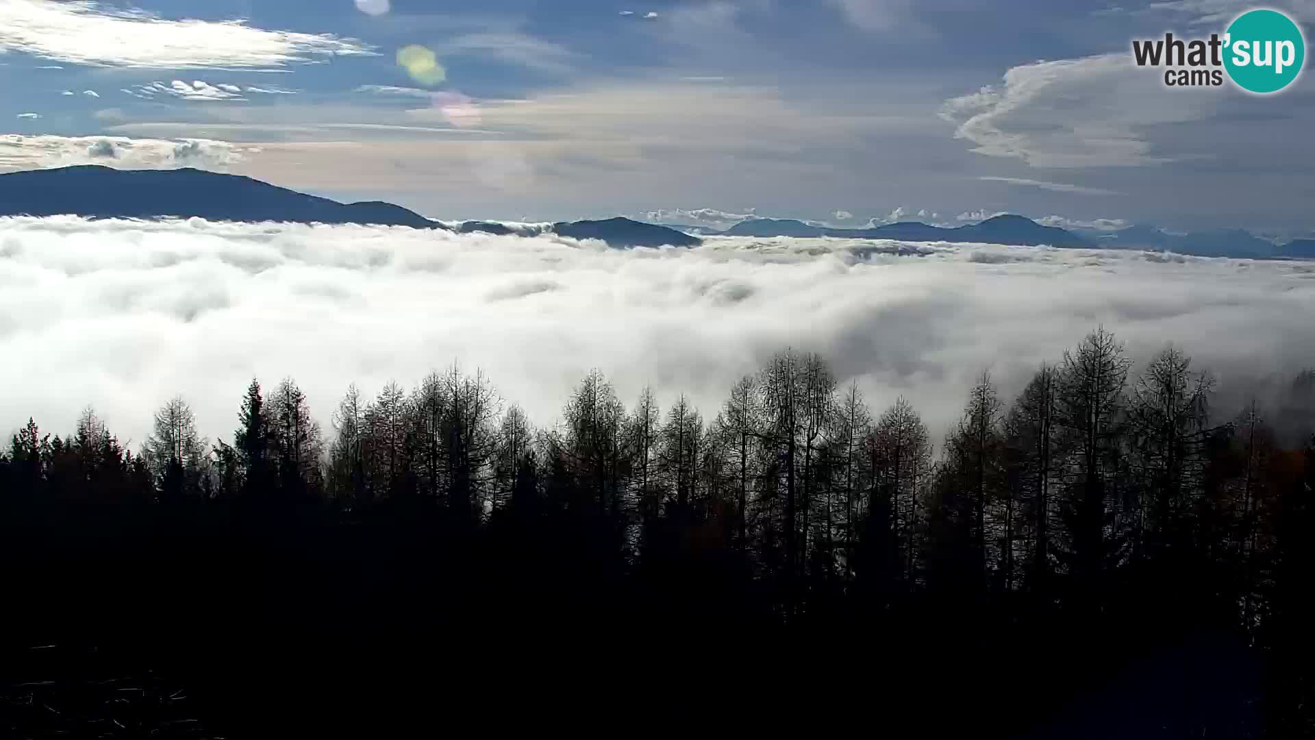 Kapunar Webcam – Radlje ob Dravi