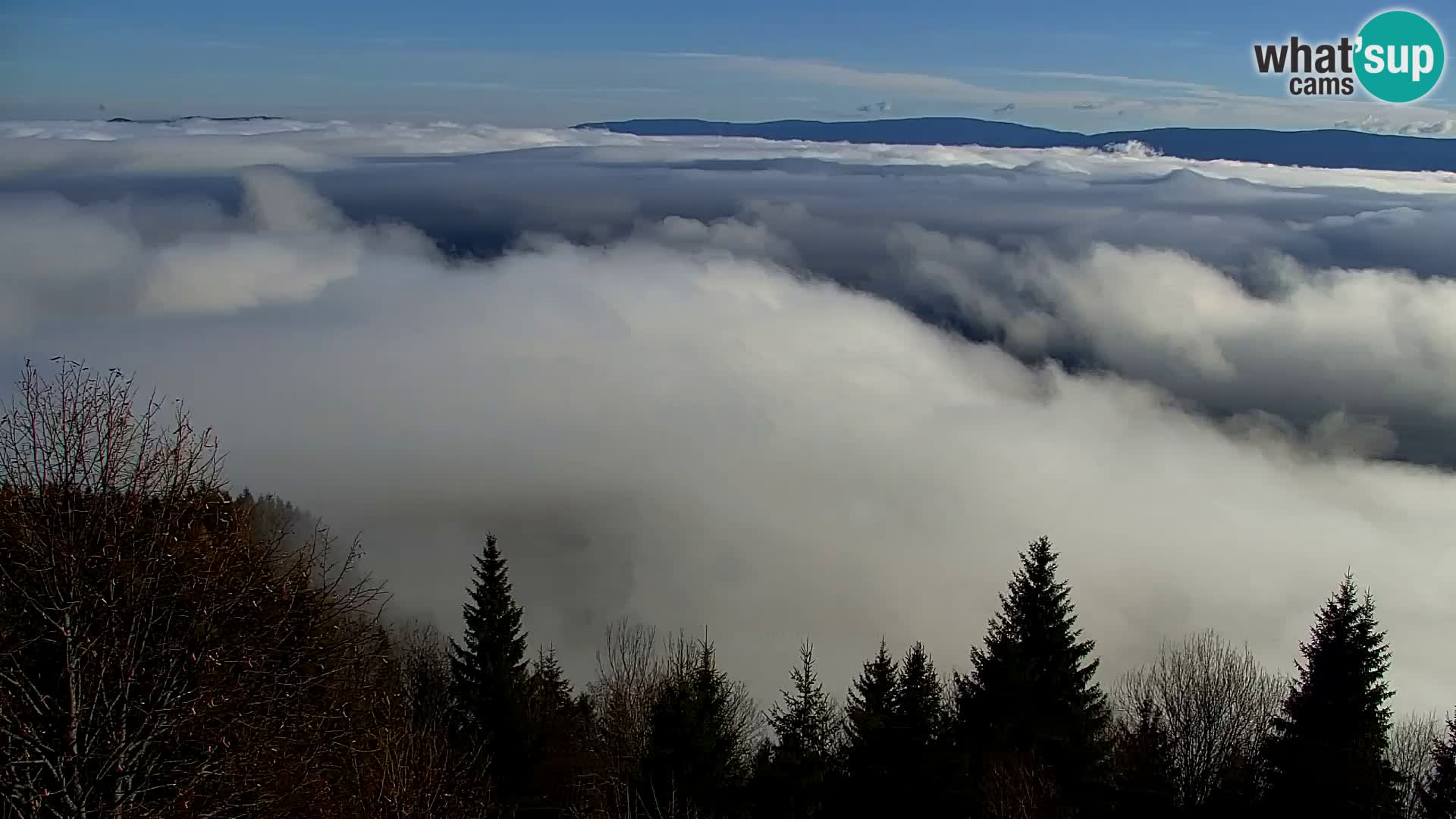 Live cam Kapunar – Radlje ob Dravi