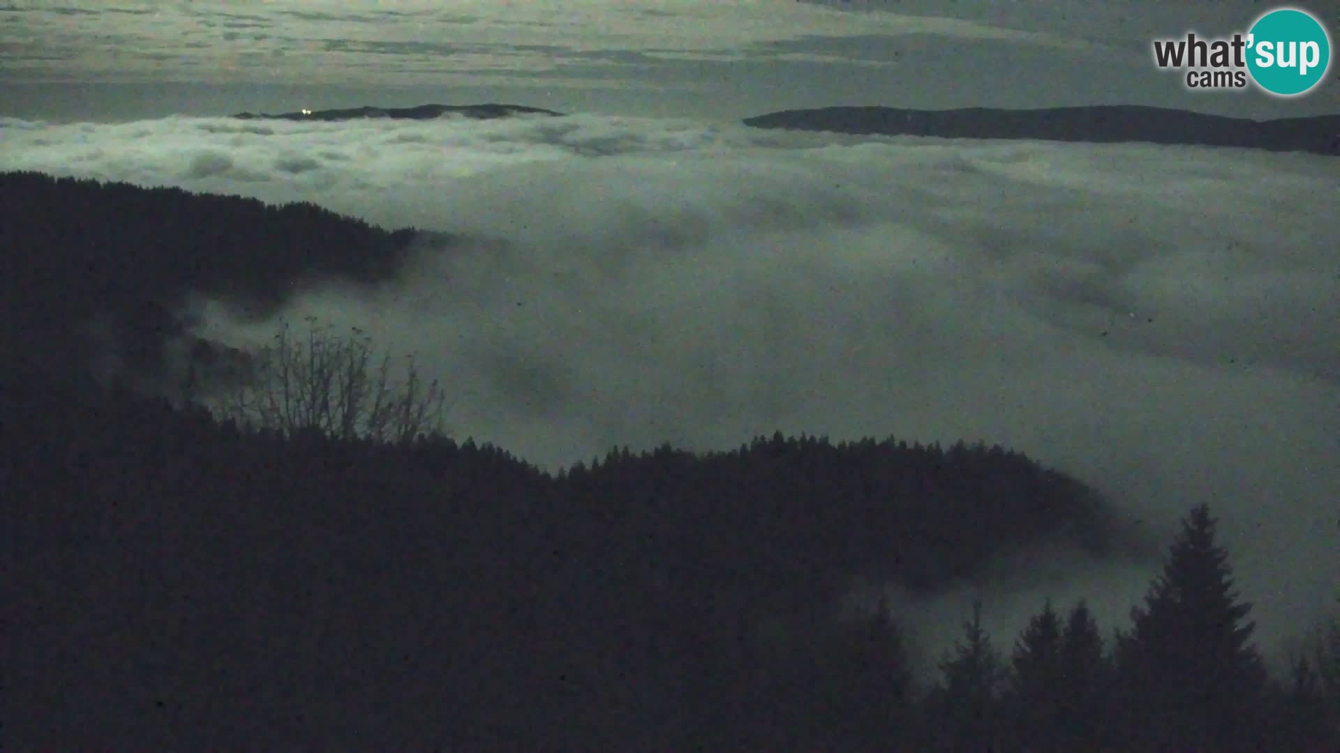 Live cam Kapunar – Radlje ob Dravi