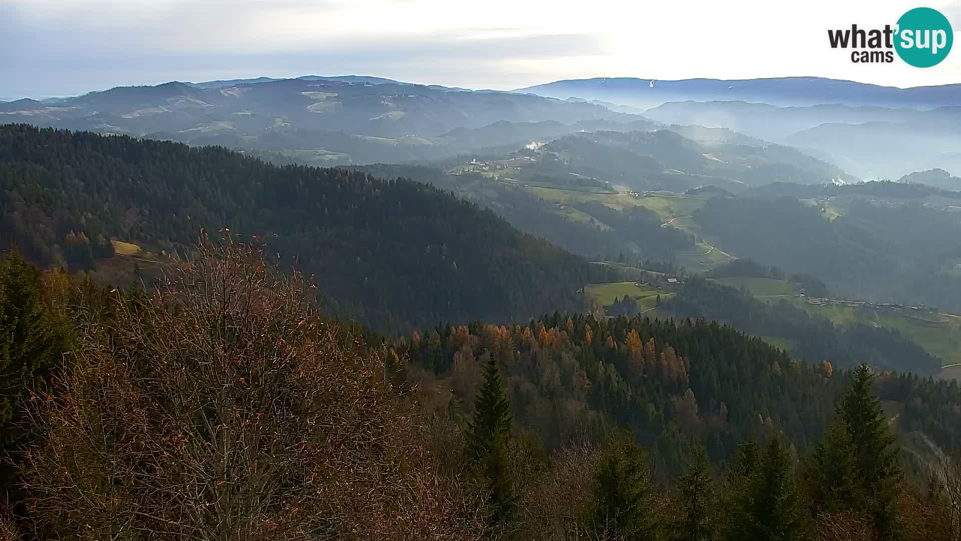 Spletna kamera Kapunar – Radlje ob Dravi