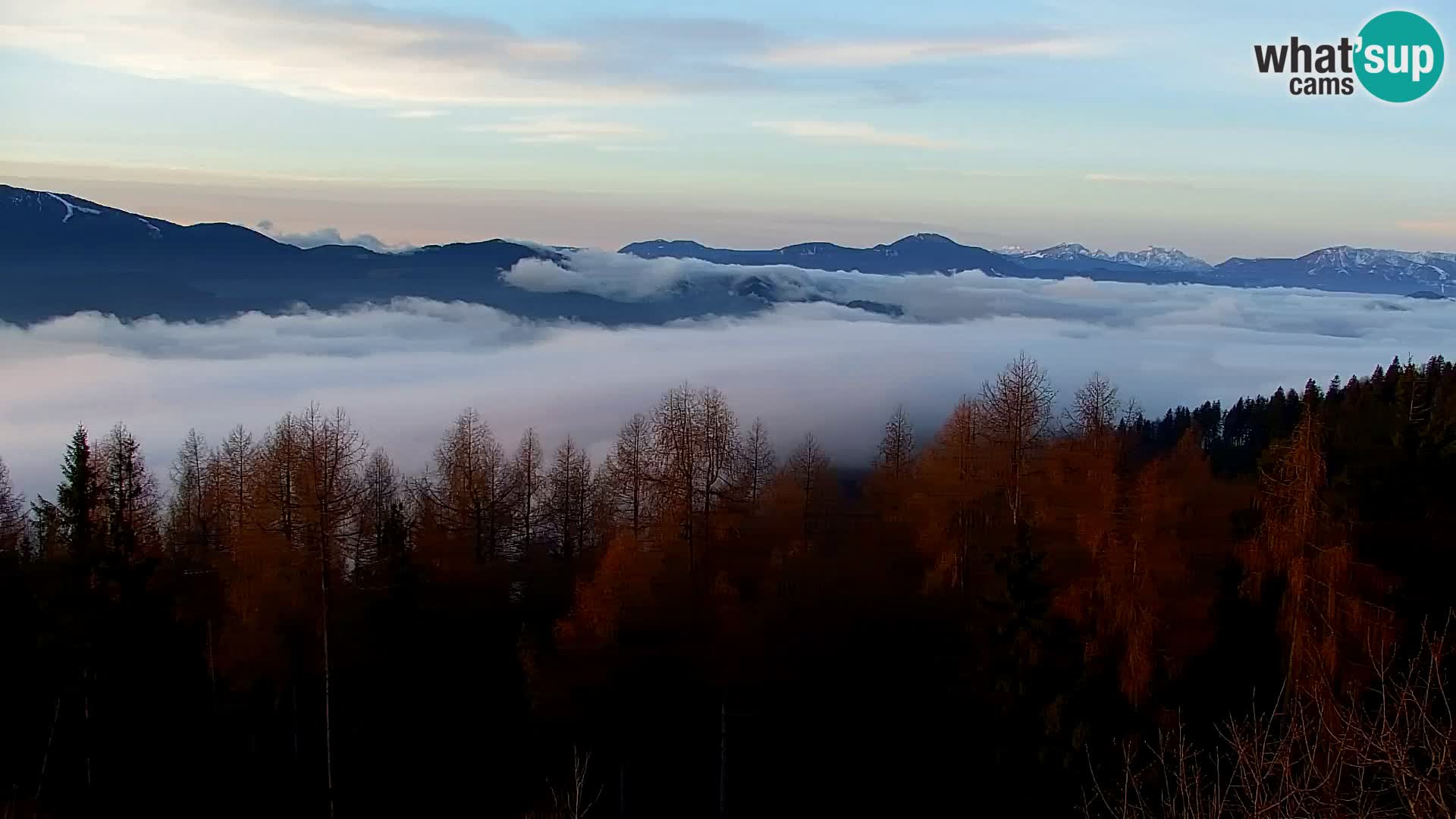 Kapunar Webcam – Radlje ob Dravi