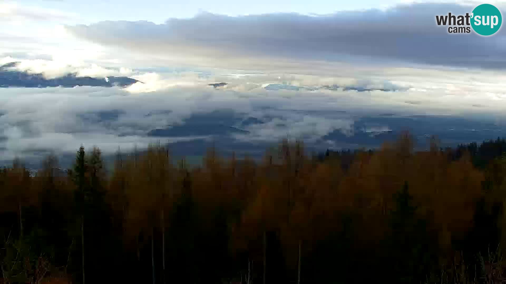 Kapunar Webcam – Radlje ob Dravi