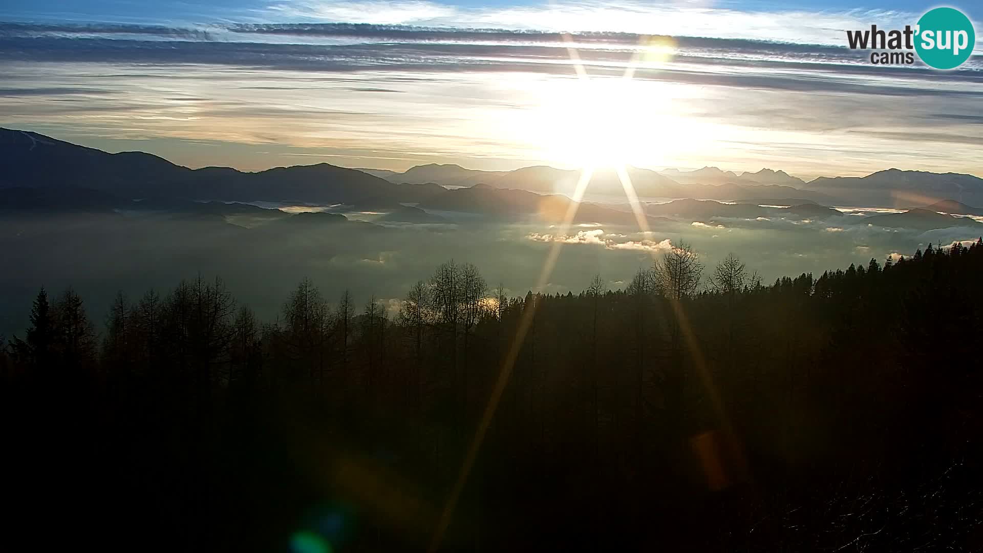 Spletna kamera Kapunar – Radlje ob Dravi