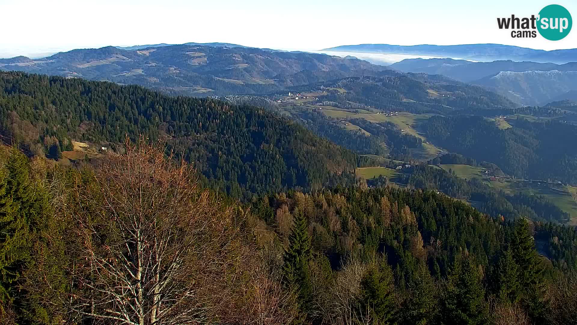 Spletna kamera Kapunar – Radlje ob Dravi