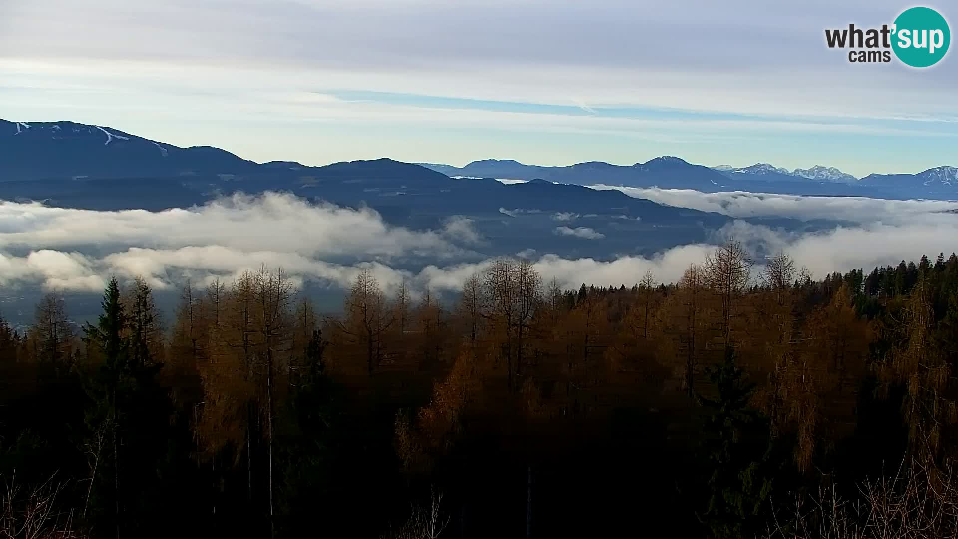 Spletna kamera Kapunar – Radlje ob Dravi