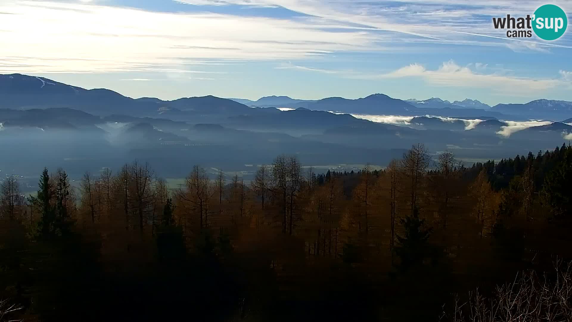 Kapunar Web kamera – Radlje ob Dravi