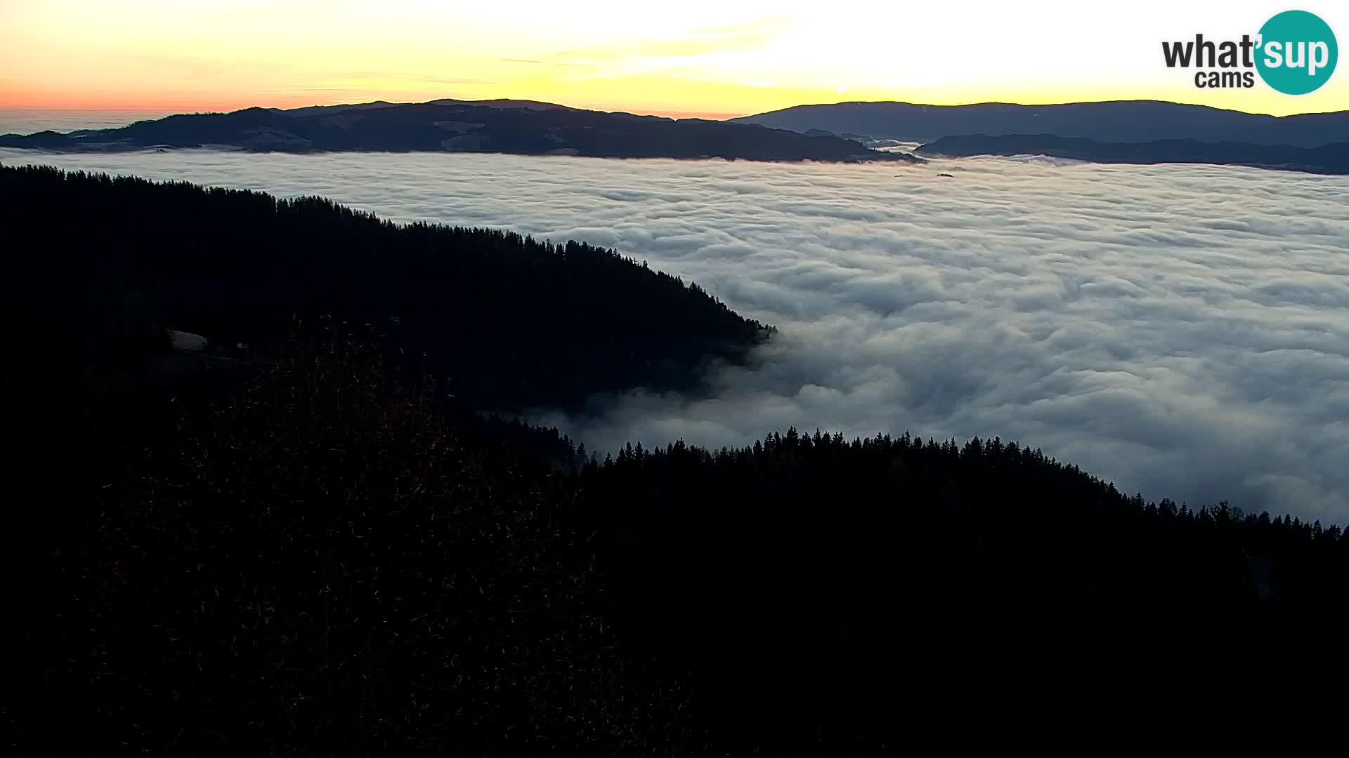 Spletna kamera Kapunar – Radlje ob Dravi