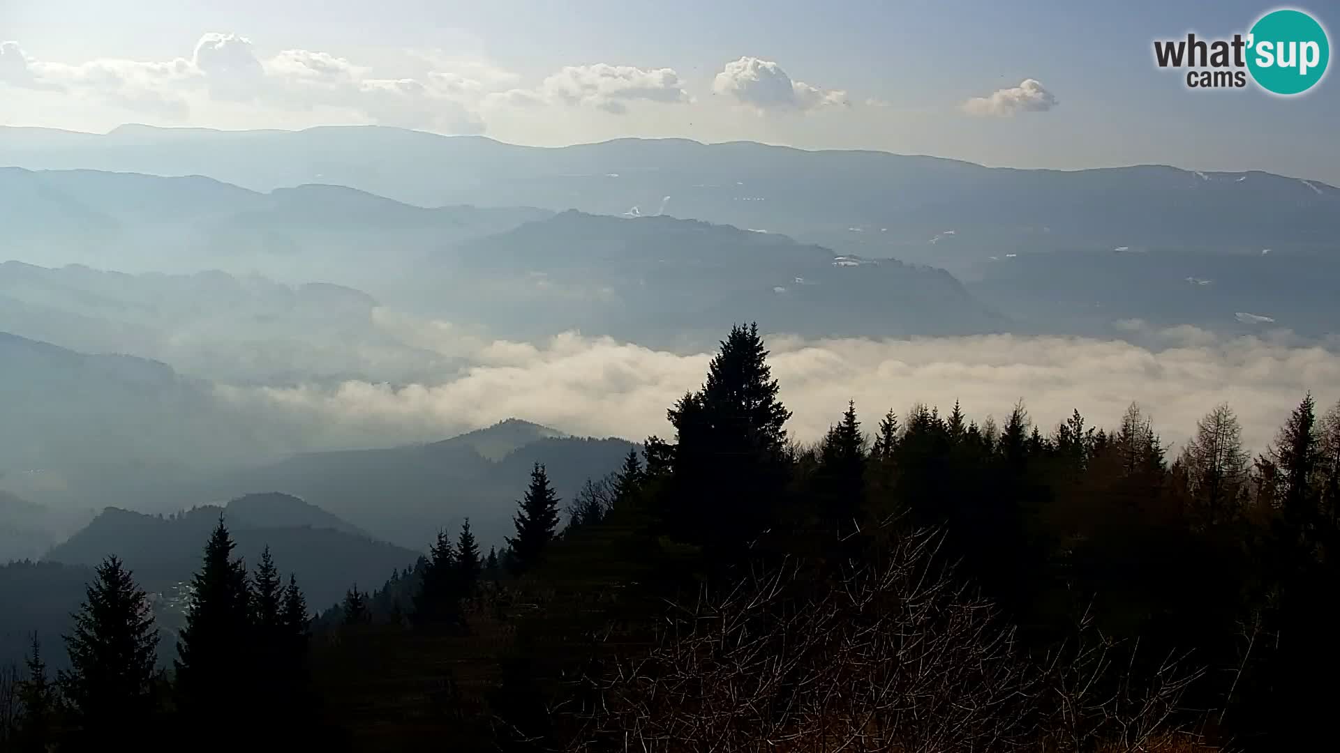 Spletna kamera Kapunar – Radlje ob Dravi