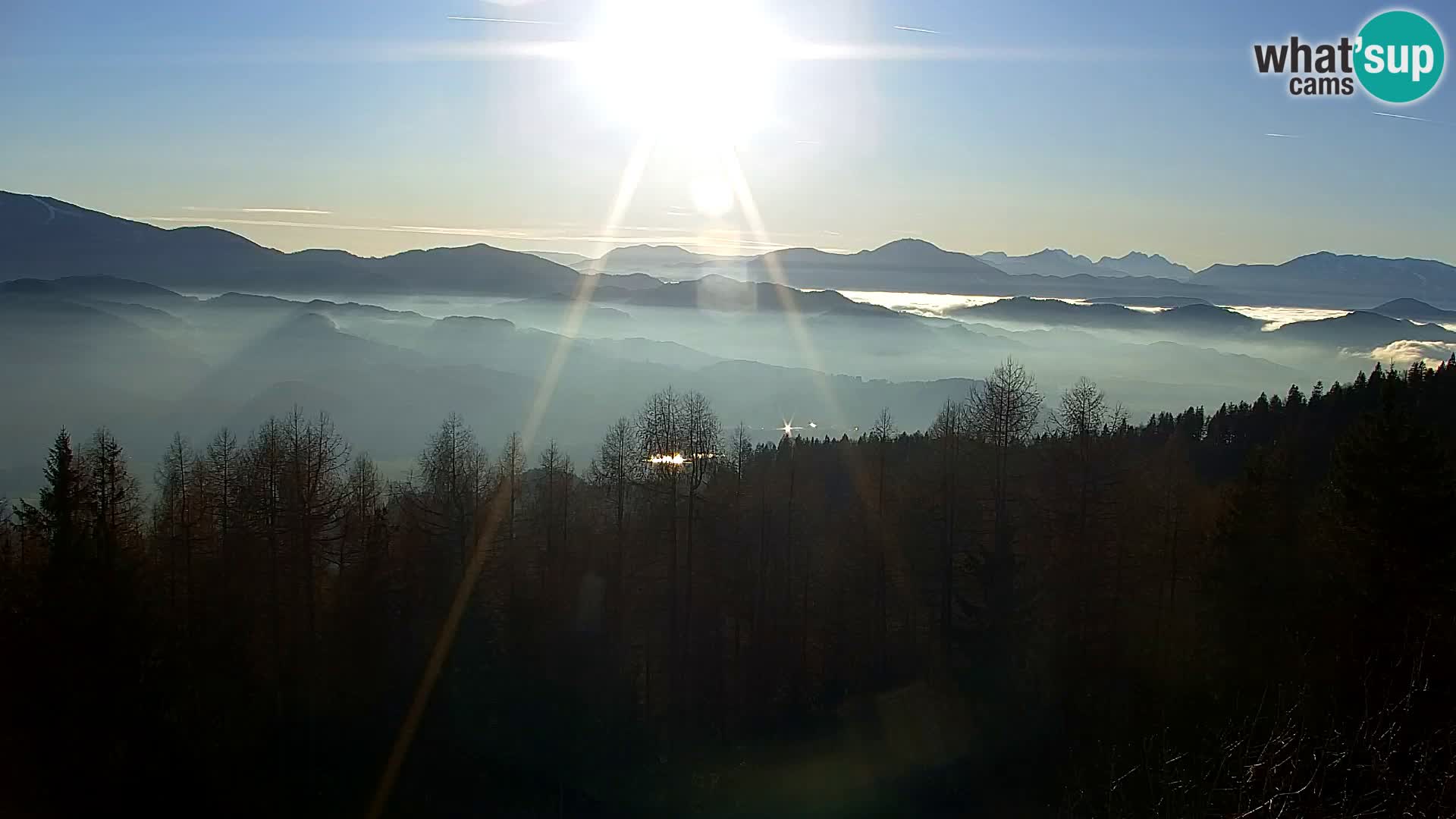 Spletna kamera Kapunar – Radlje ob Dravi