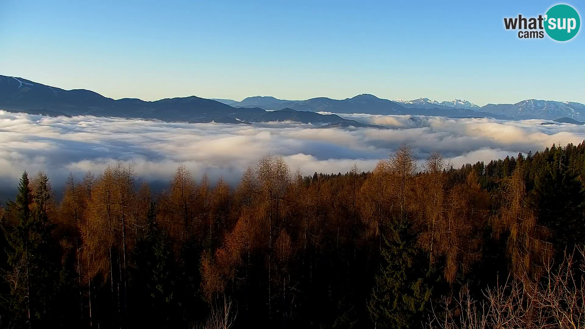 Live cam Kapunar – Radlje ob Dravi