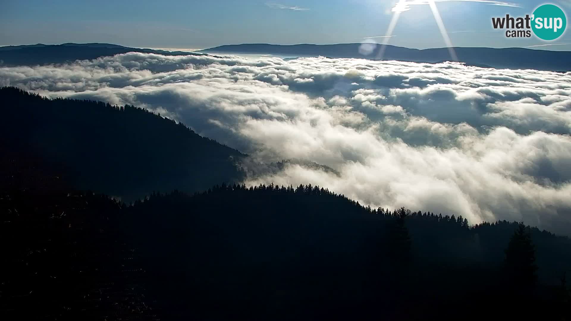 Kapunar Web kamera – Radlje ob Dravi