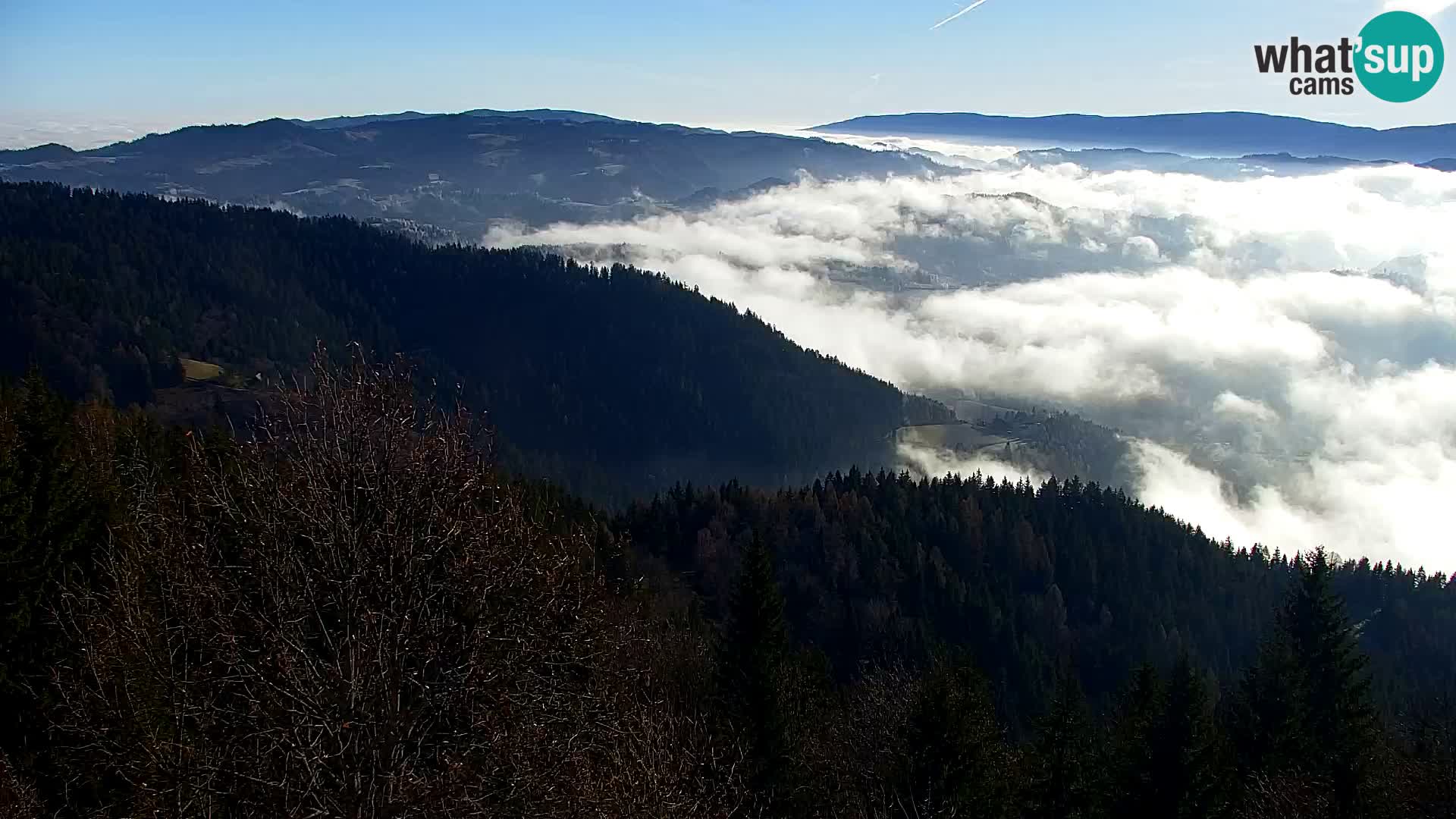 Kapunar Webcam – Radlje ob Dravi