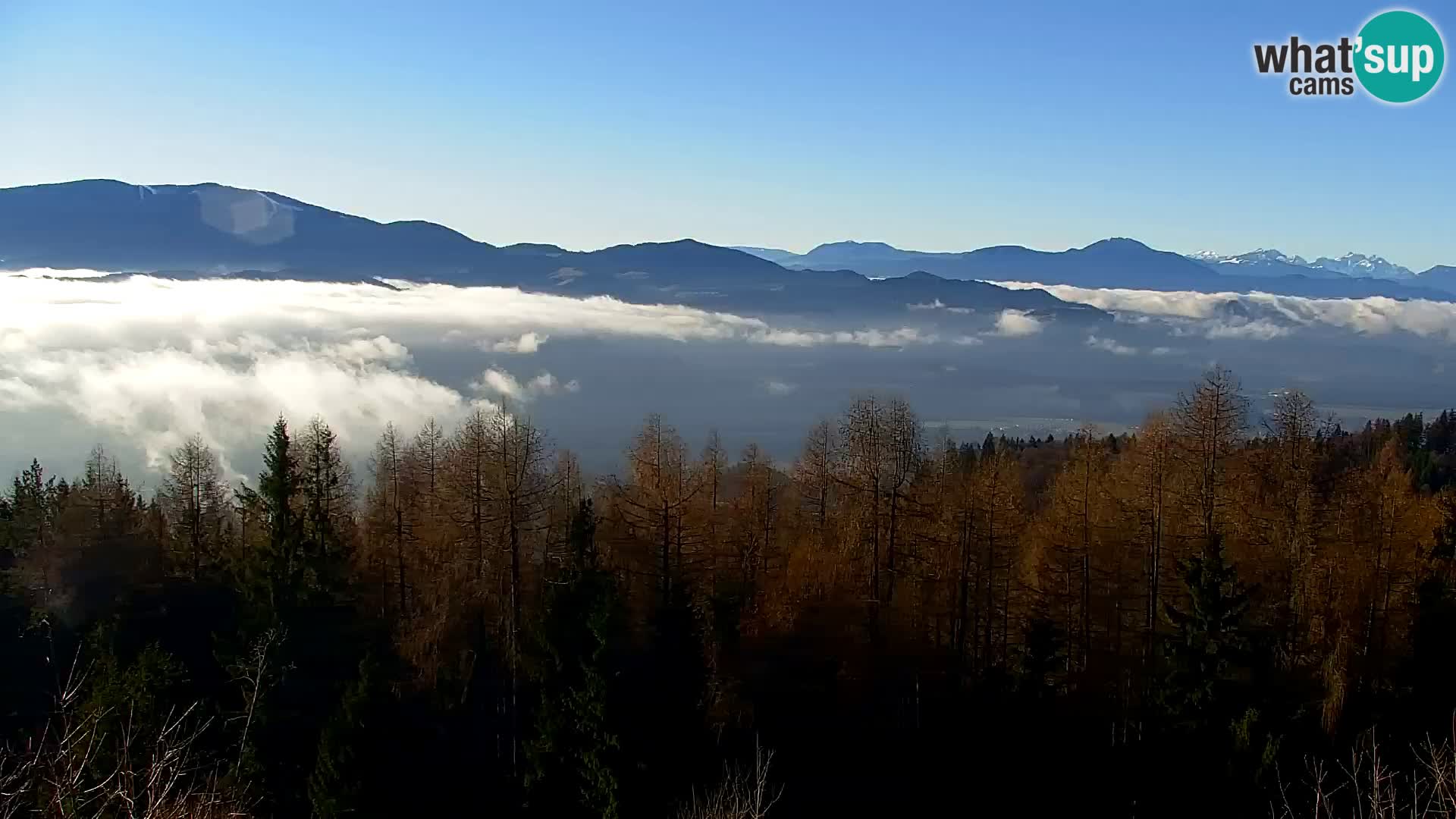 Kapunar Webcam – Radlje ob Dravi